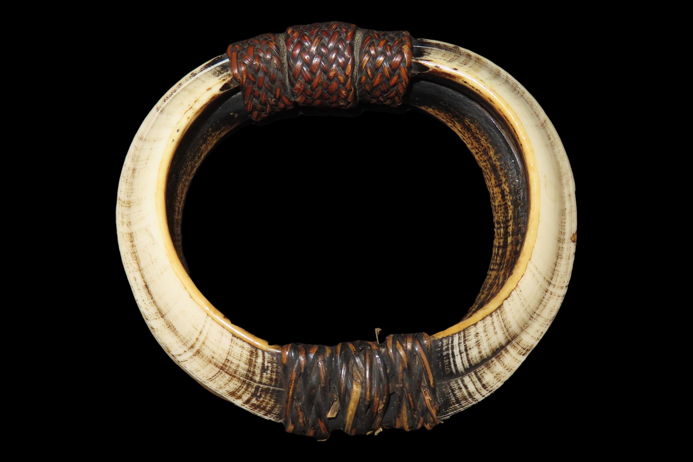 4 3/8" New Guinea Bracelet, 4 Boar Tusks Bound with Braided Leather