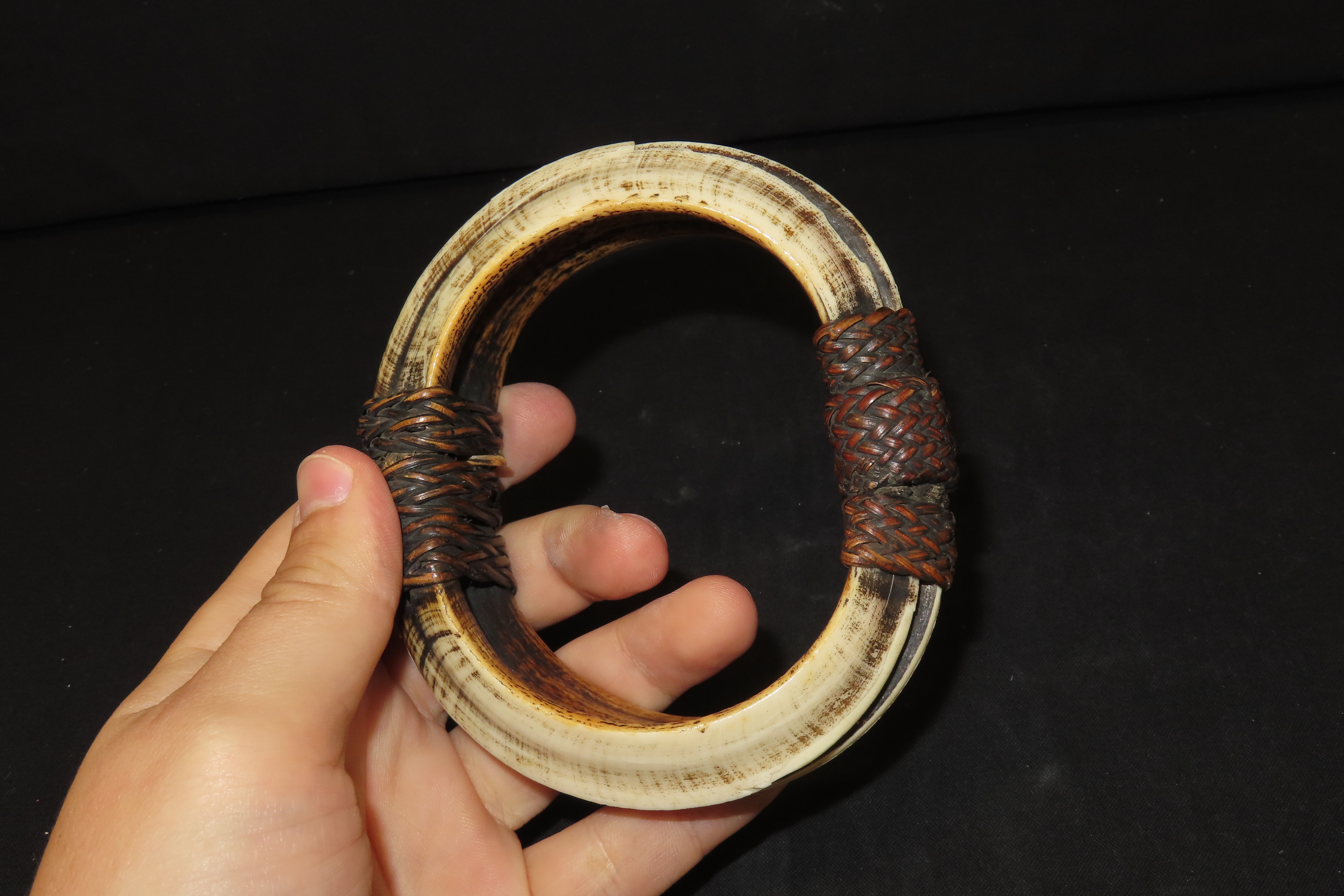 4 3/8" New Guinea Bracelet, 4 Boar Tusks Bound with Braided Leather