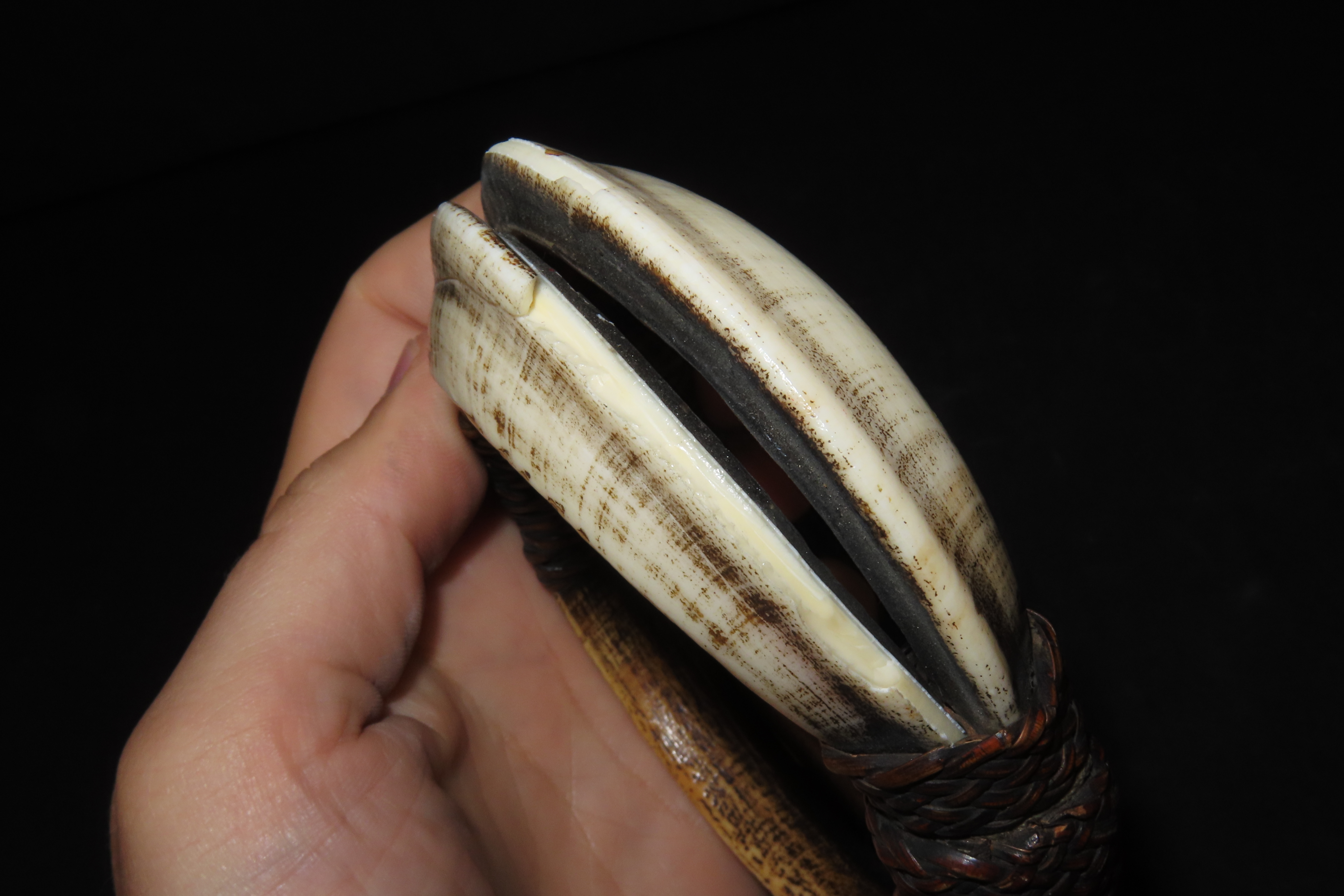 4 3/8" New Guinea Bracelet, 4 Boar Tusks Bound with Braided Leather
