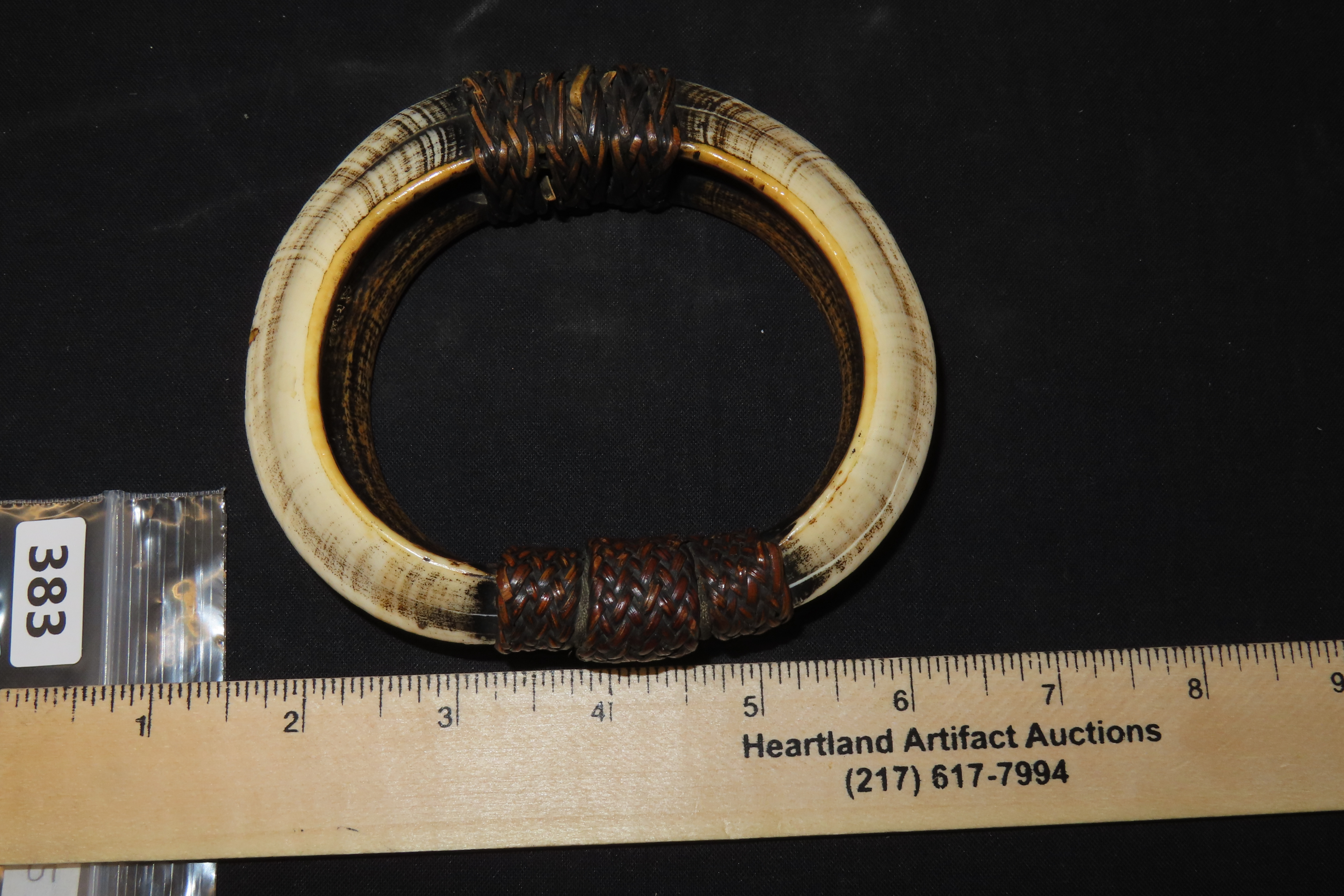 4 3/8" New Guinea Bracelet, 4 Boar Tusks Bound with Braided Leather