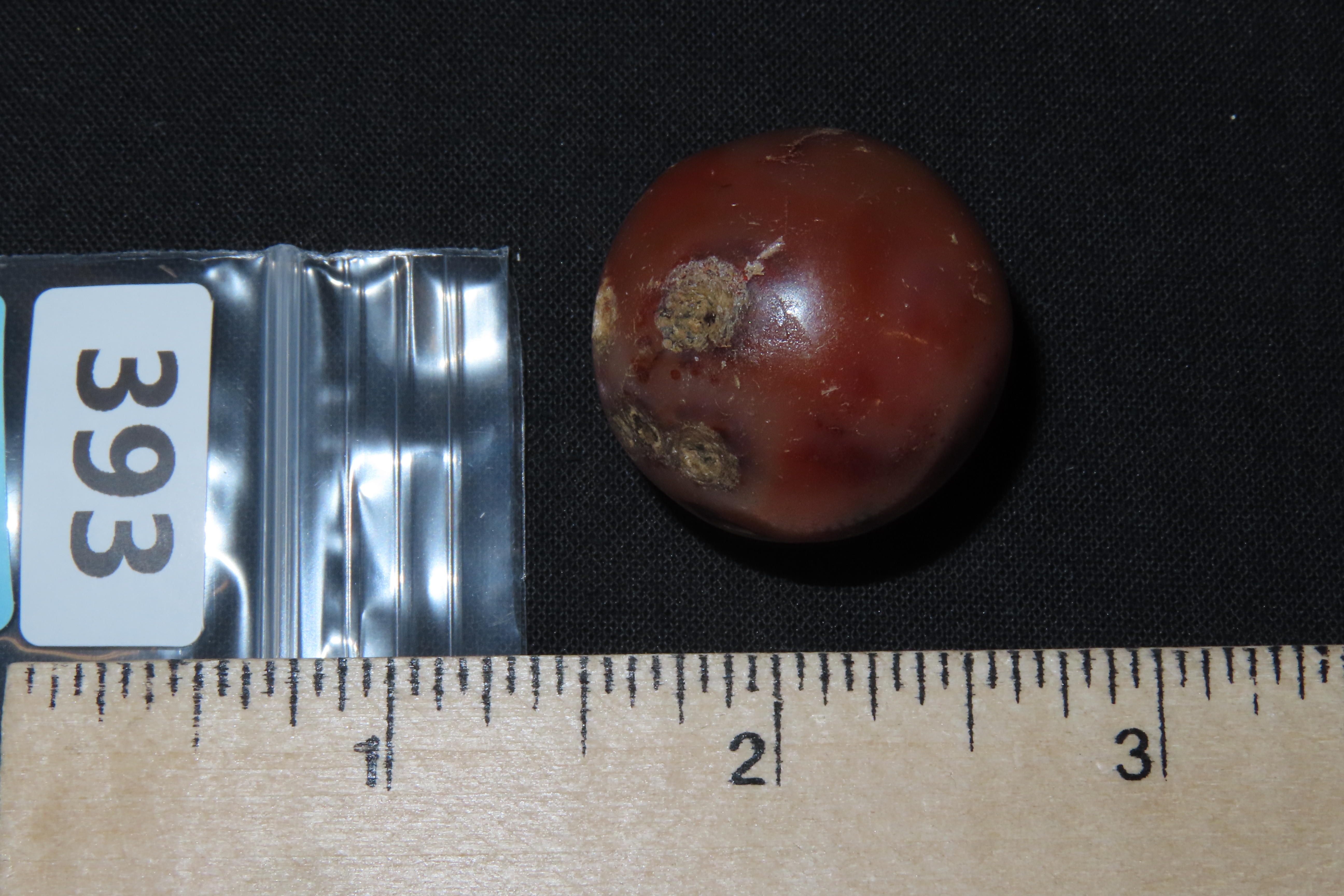 7/8" Large Chinese Carnelian Bead