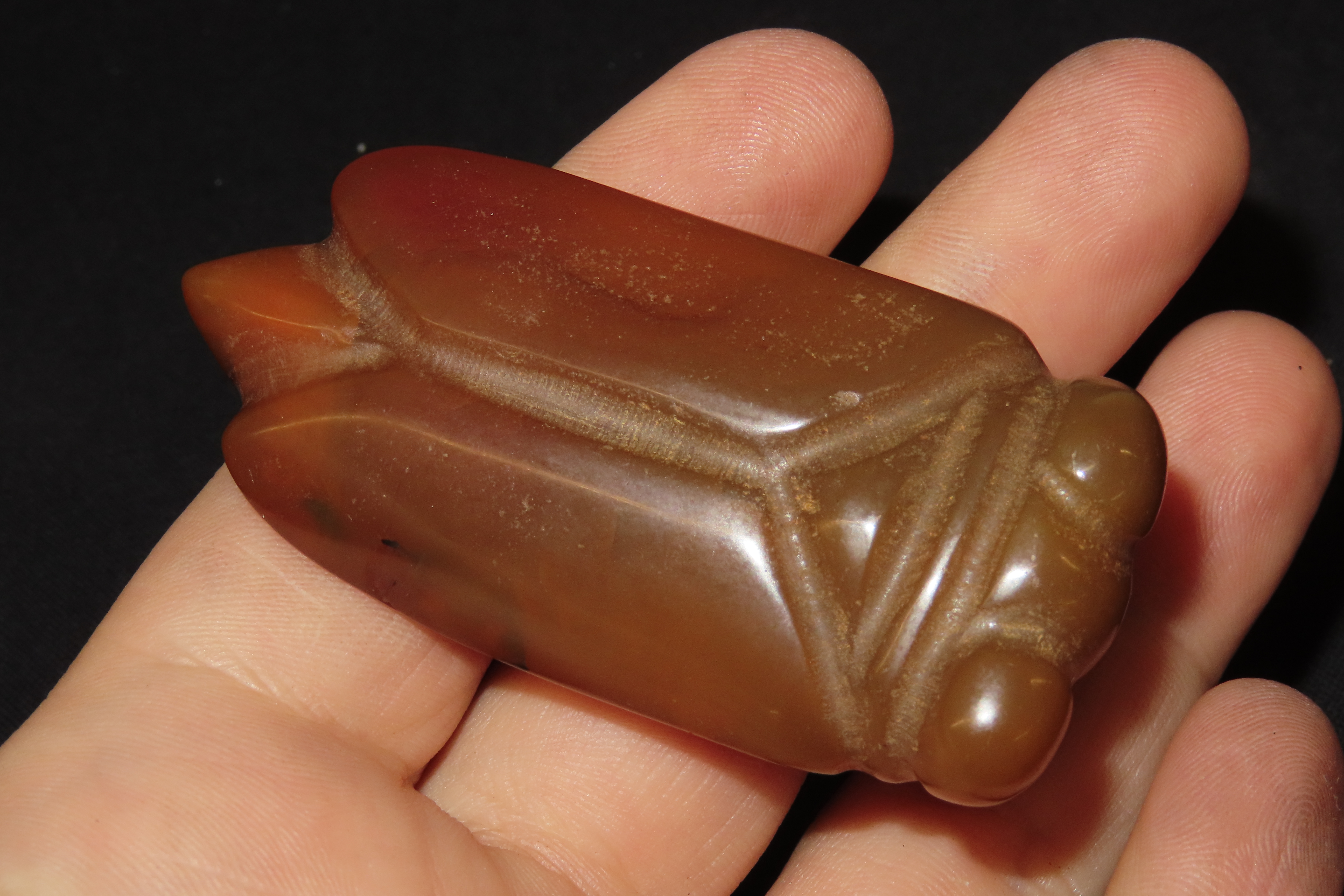 2 5/8" x 1 1/8" Chinese Jade Locust Pendant
