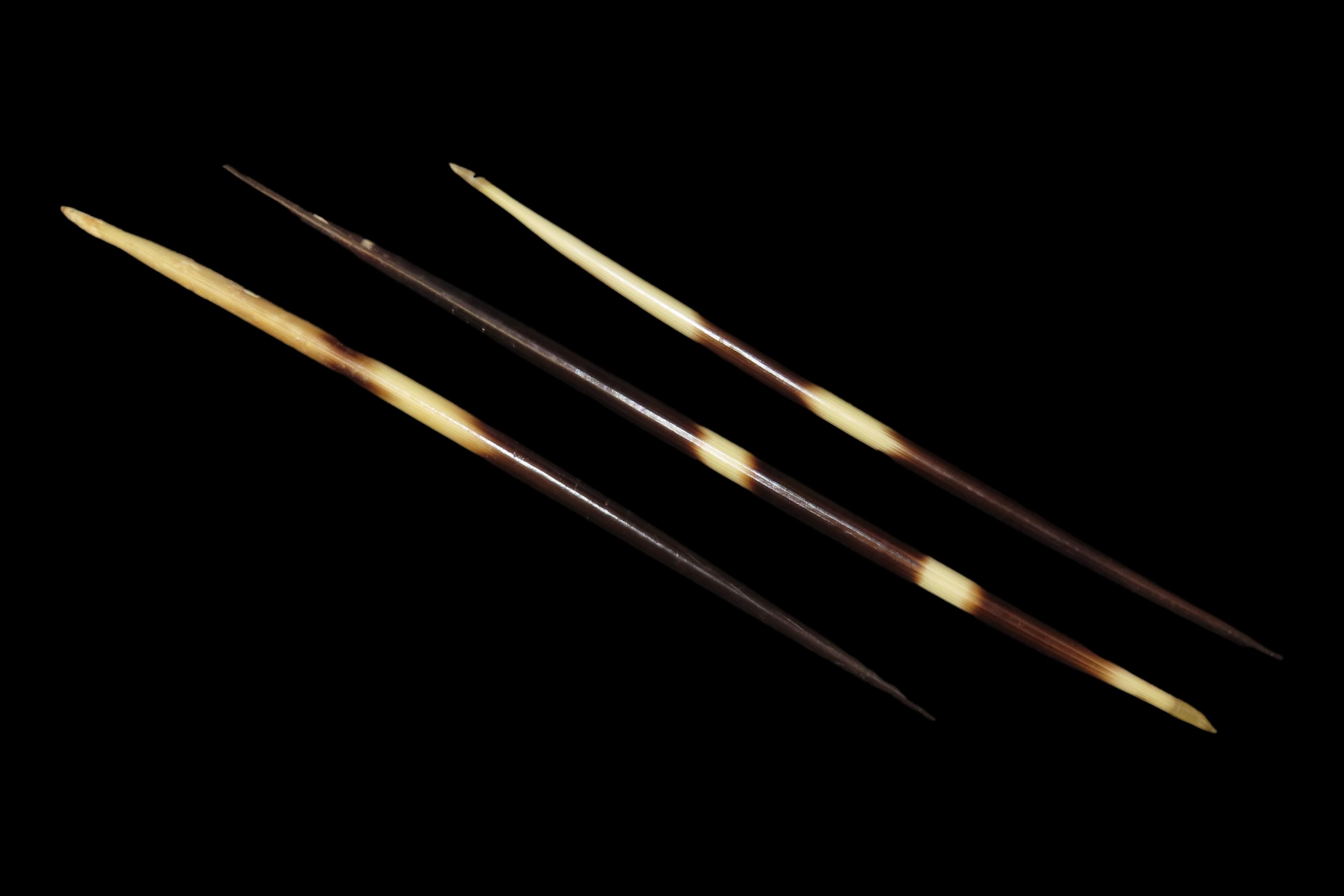 9 5/8" Set of 3 African Giant Quills