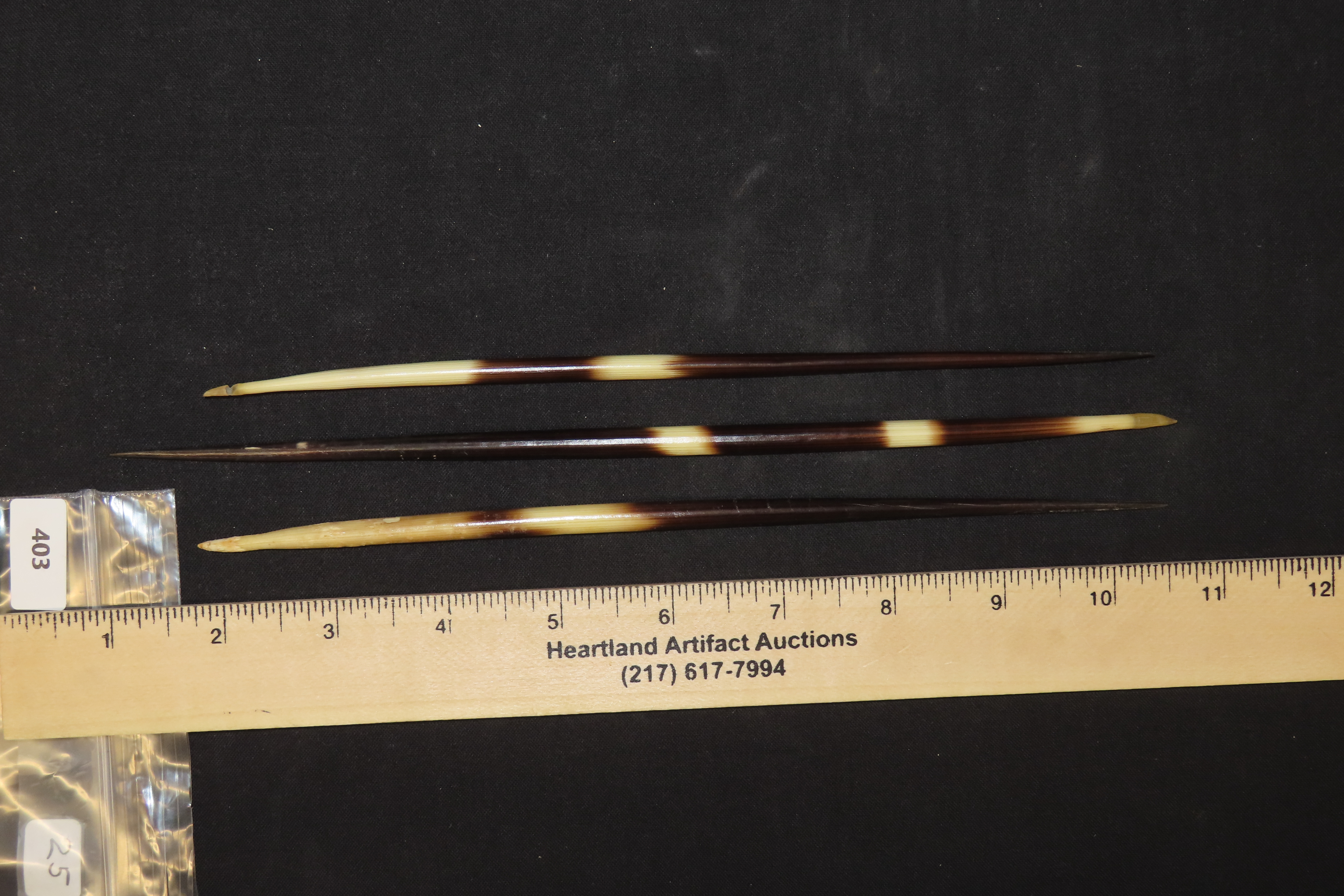 9 5/8" Set of 3 African Giant Quills