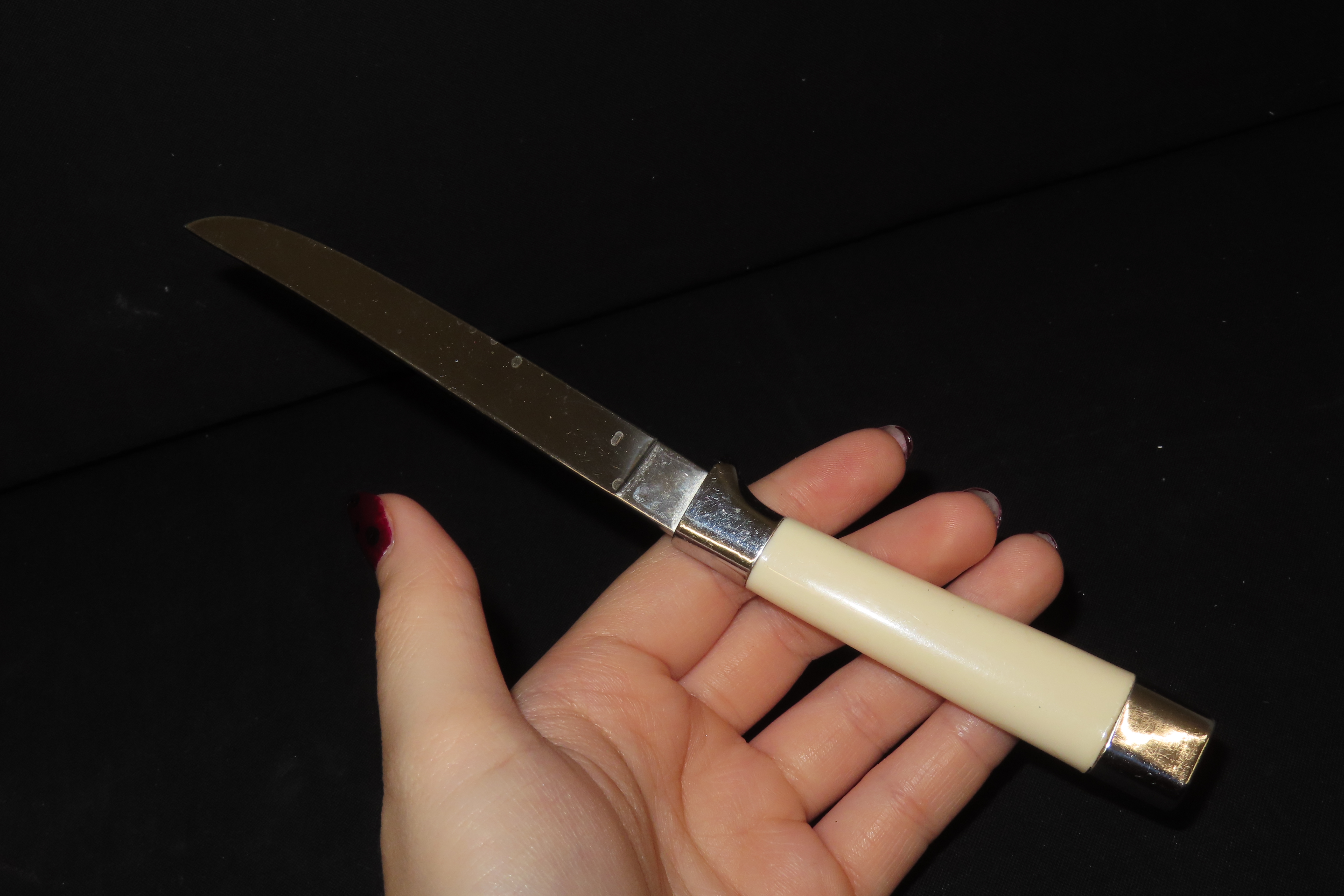 6-Piece Steak Knife Set with Inlaid Handles