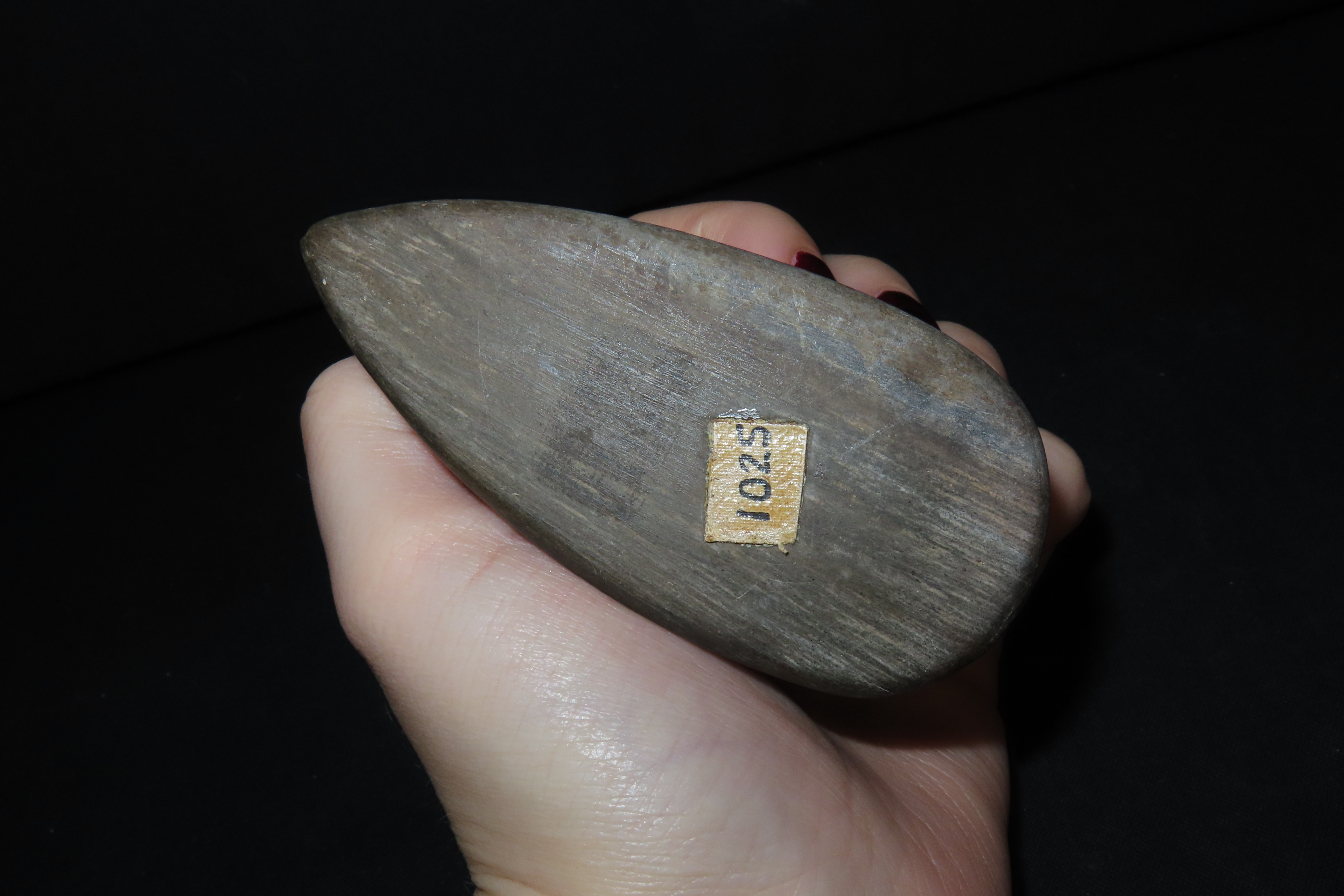 3 1/4" x 1 3/8" Slate Bird Bust, Eichenberg Tag