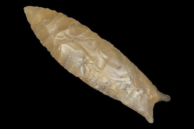 4 1/2" Fishtail, Found in Southern Illinois, Ex. B. Knoblock, R. Murry, B Sapington Collections