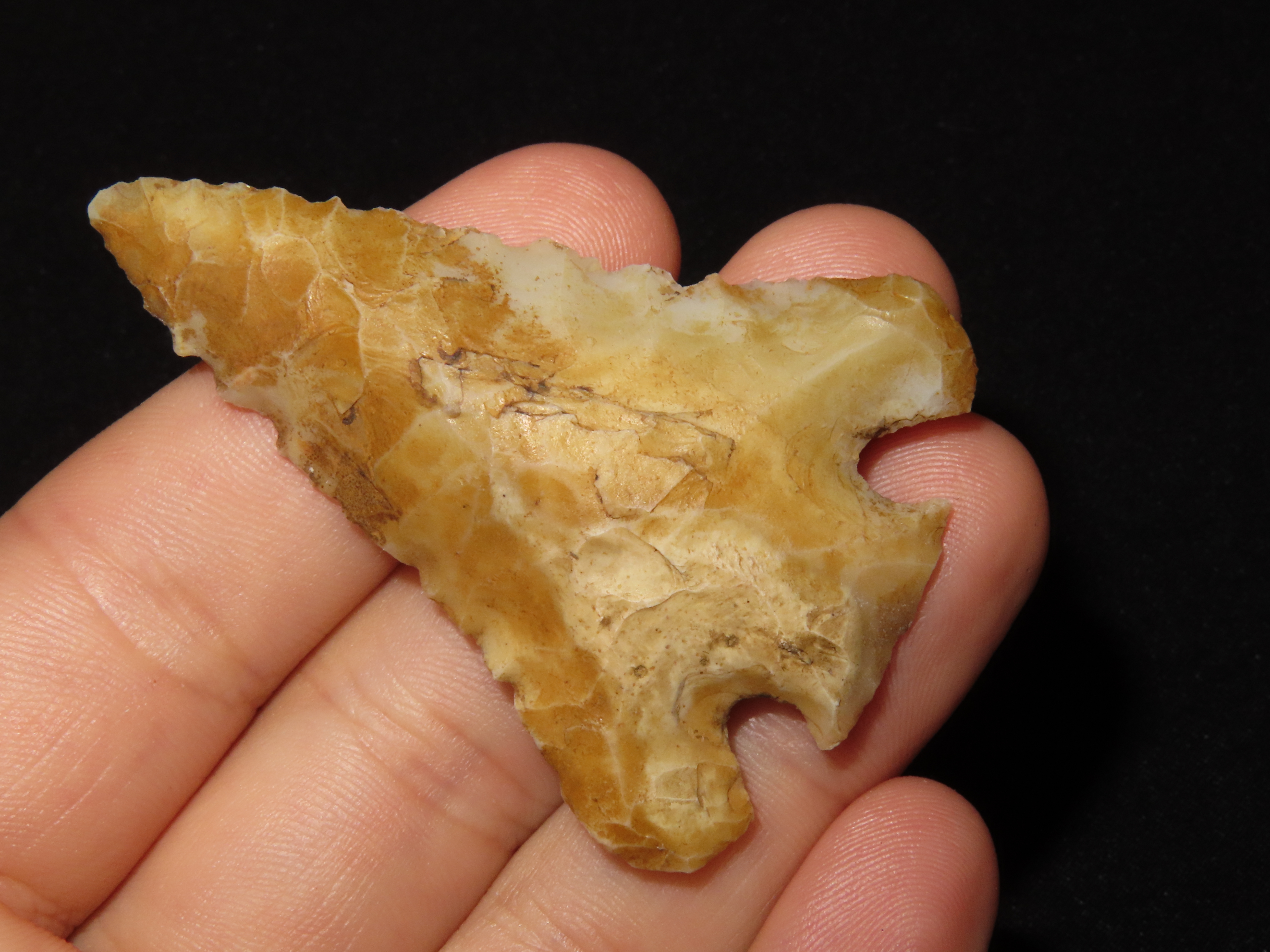 Phenomenal 2 3/8" Florida Candy Clay found in Pasco County, FL. Heavily Patinated & highly Translucent with great color! Ex Brian Boles Coll
