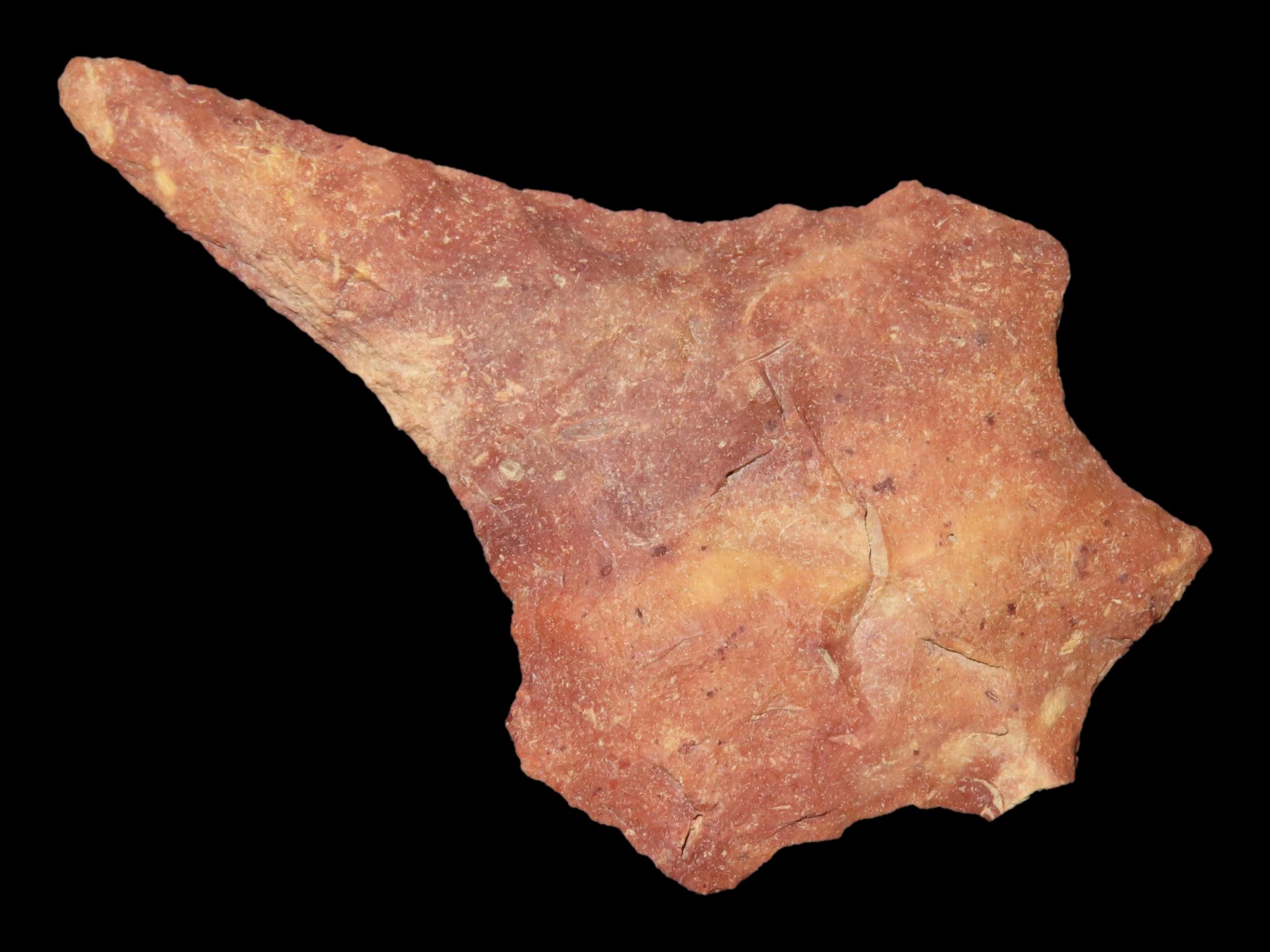 3 1/8" Colorful Florida Savanah River Drill found in Hernando County, FL. Ex Brian Boles Collection. Deep South Arrowhead.