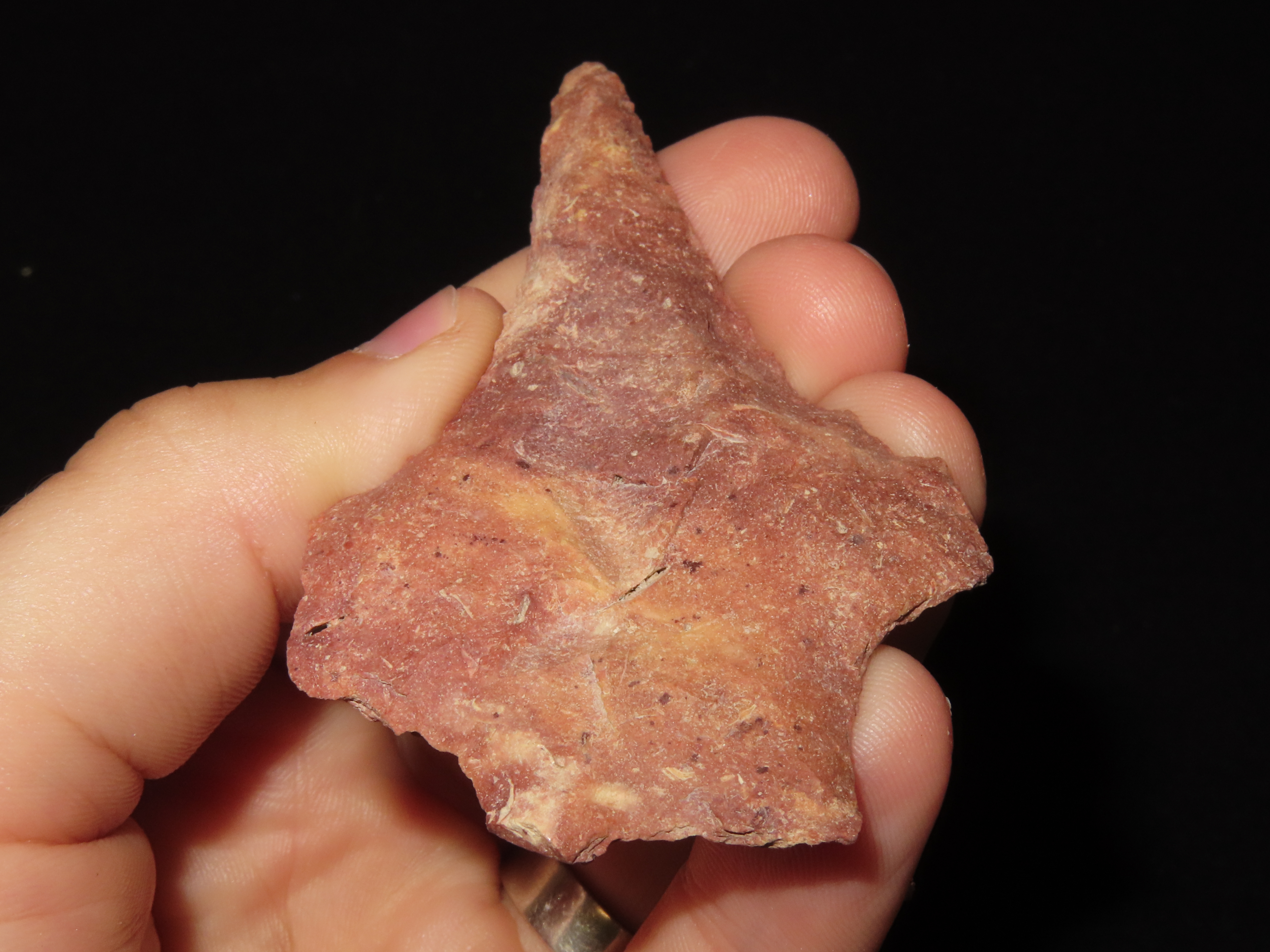 3 1/8" Colorful Florida Savanah River Drill found in Hernando County, FL. Ex Brian Boles Collection. Deep South Arrowhead.