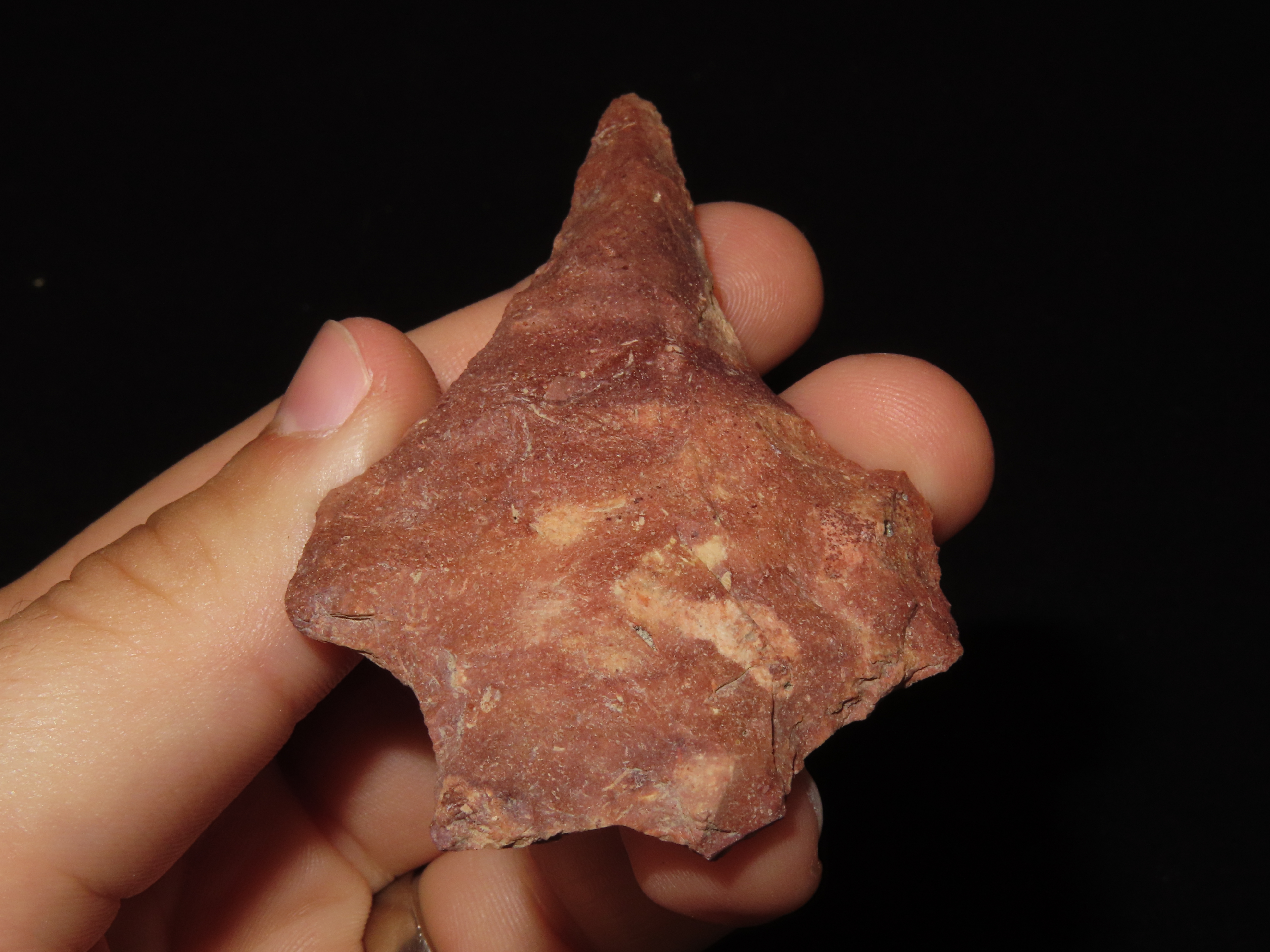 3 1/8" Colorful Florida Savanah River Drill found in Hernando County, FL. Ex Brian Boles Collection. Deep South Arrowhead.