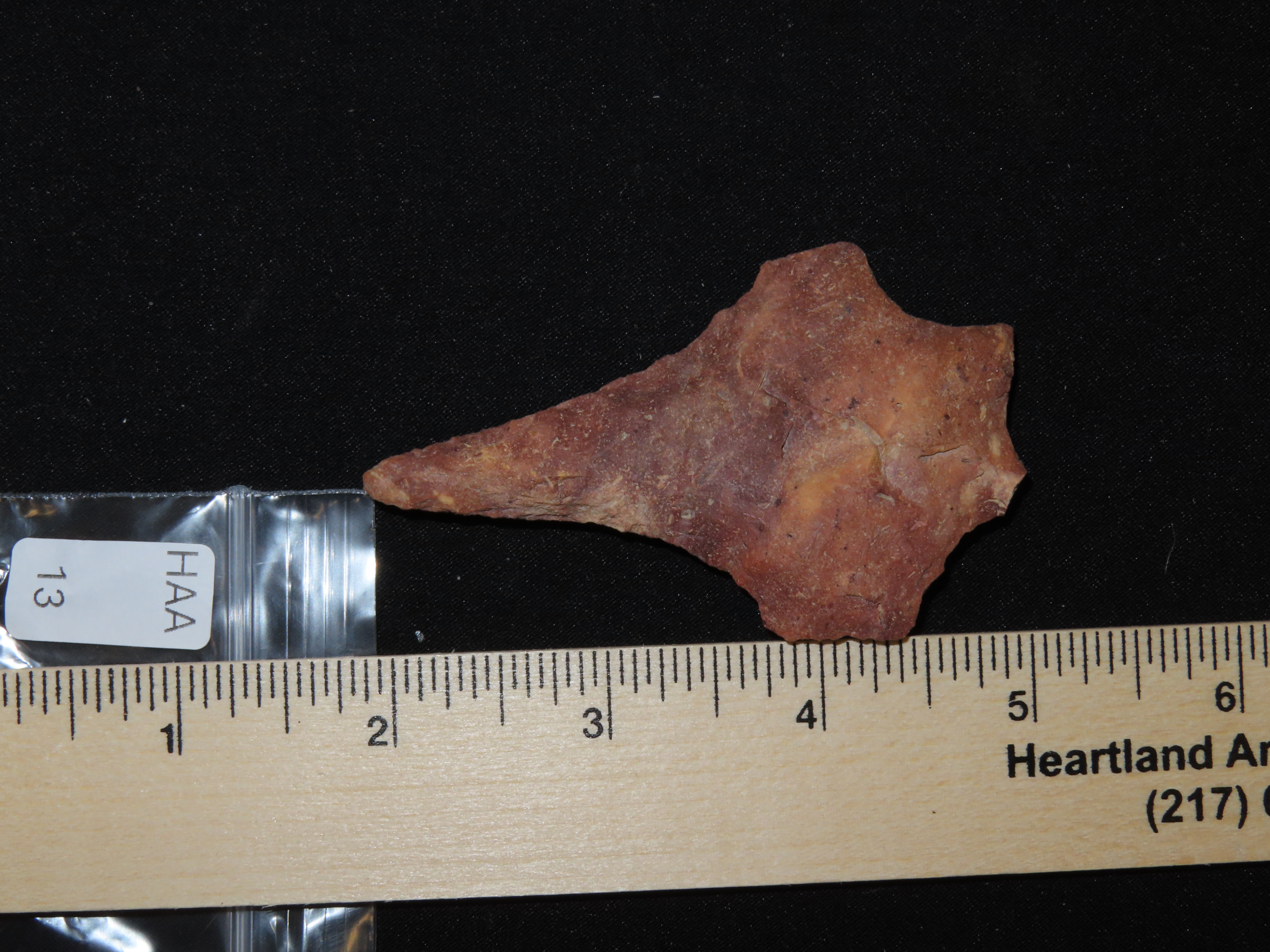 3 1/8" Colorful Florida Savanah River Drill found in Hernando County, FL. Ex Brian Boles Collection. Deep South Arrowhead.