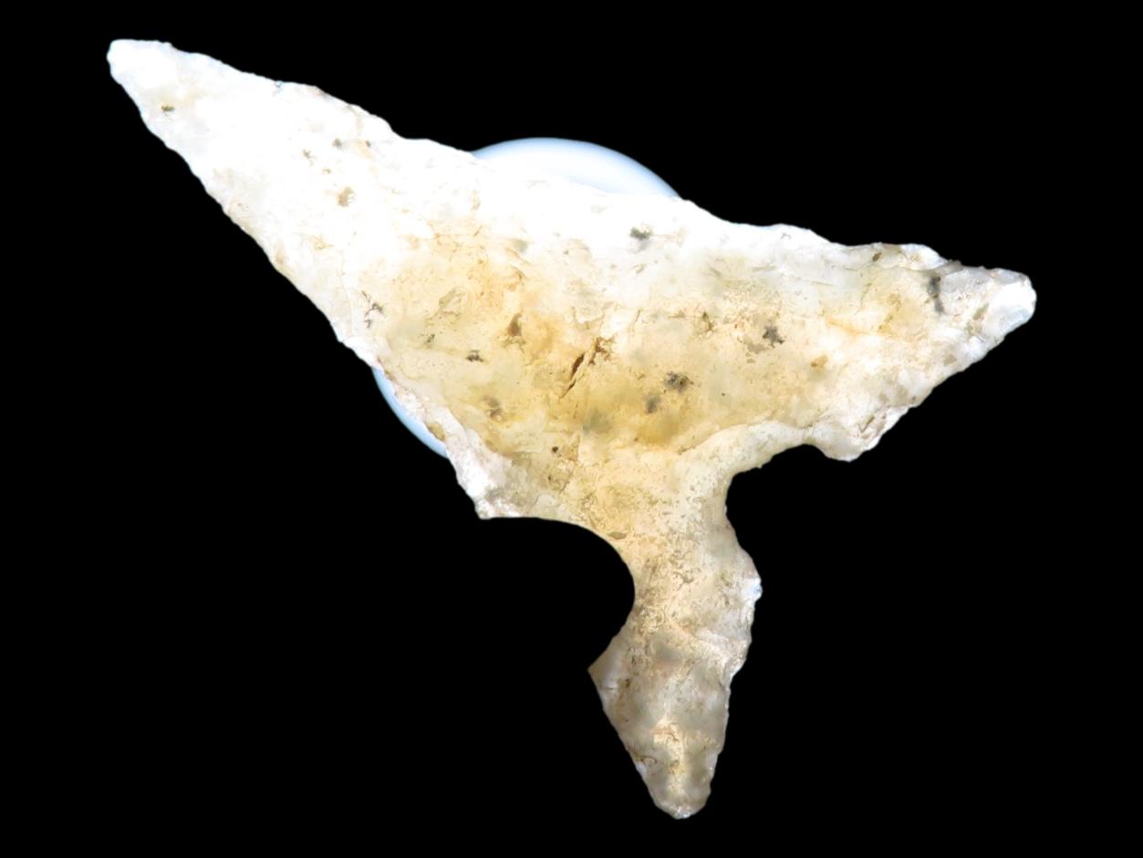 Perfect Translucent Agate Garza Bird Point. Carlos Black COA. Found in N.W. Texas. Ex Jesse Walker & Ex Joey Ellis Collections. Oustanding E