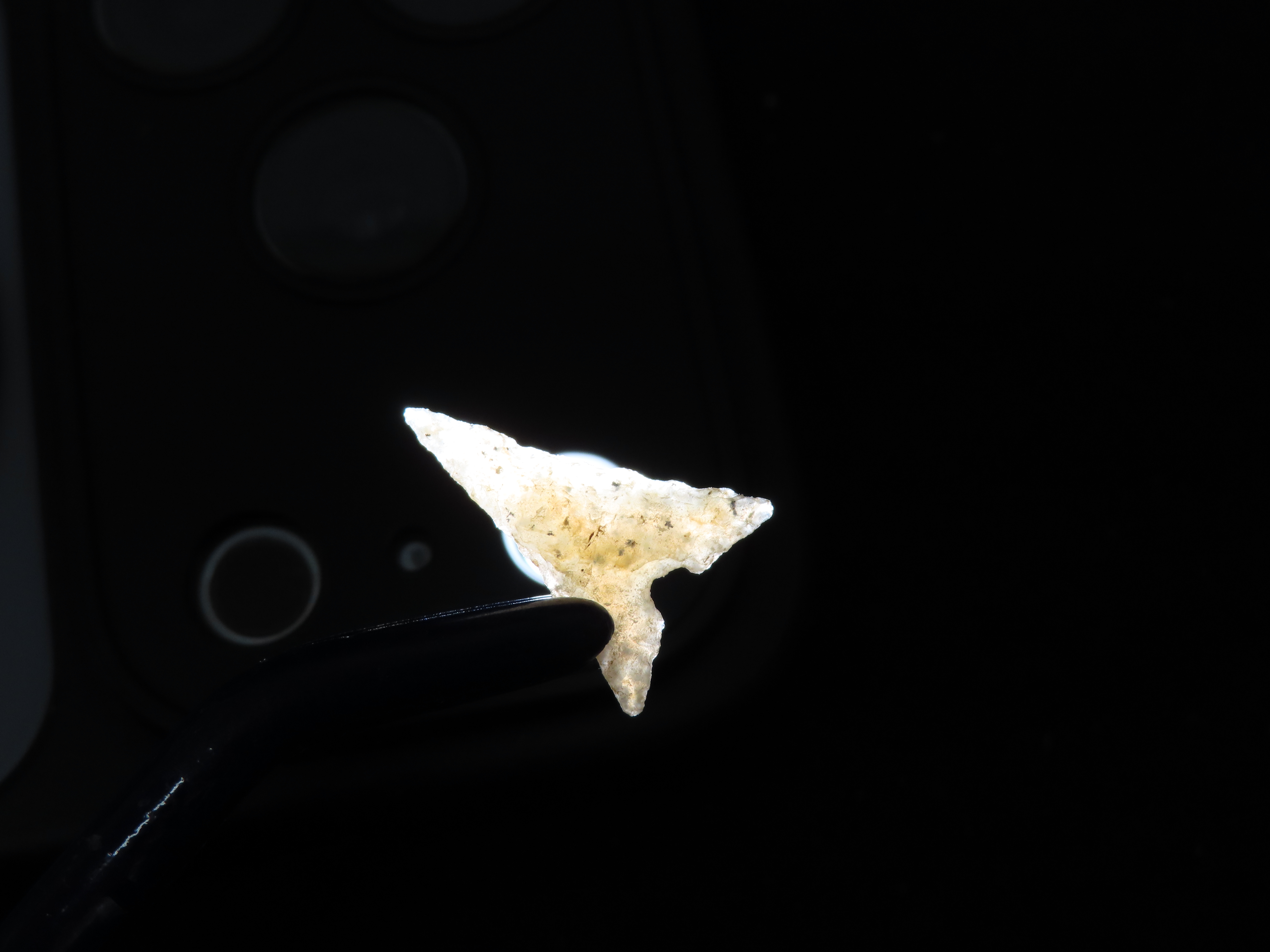 Perfect Translucent Agate Garza Bird Point. Carlos Black COA. Found in N.W. Texas. Ex Jesse Walker & Ex Joey Ellis Collections. Oustanding E