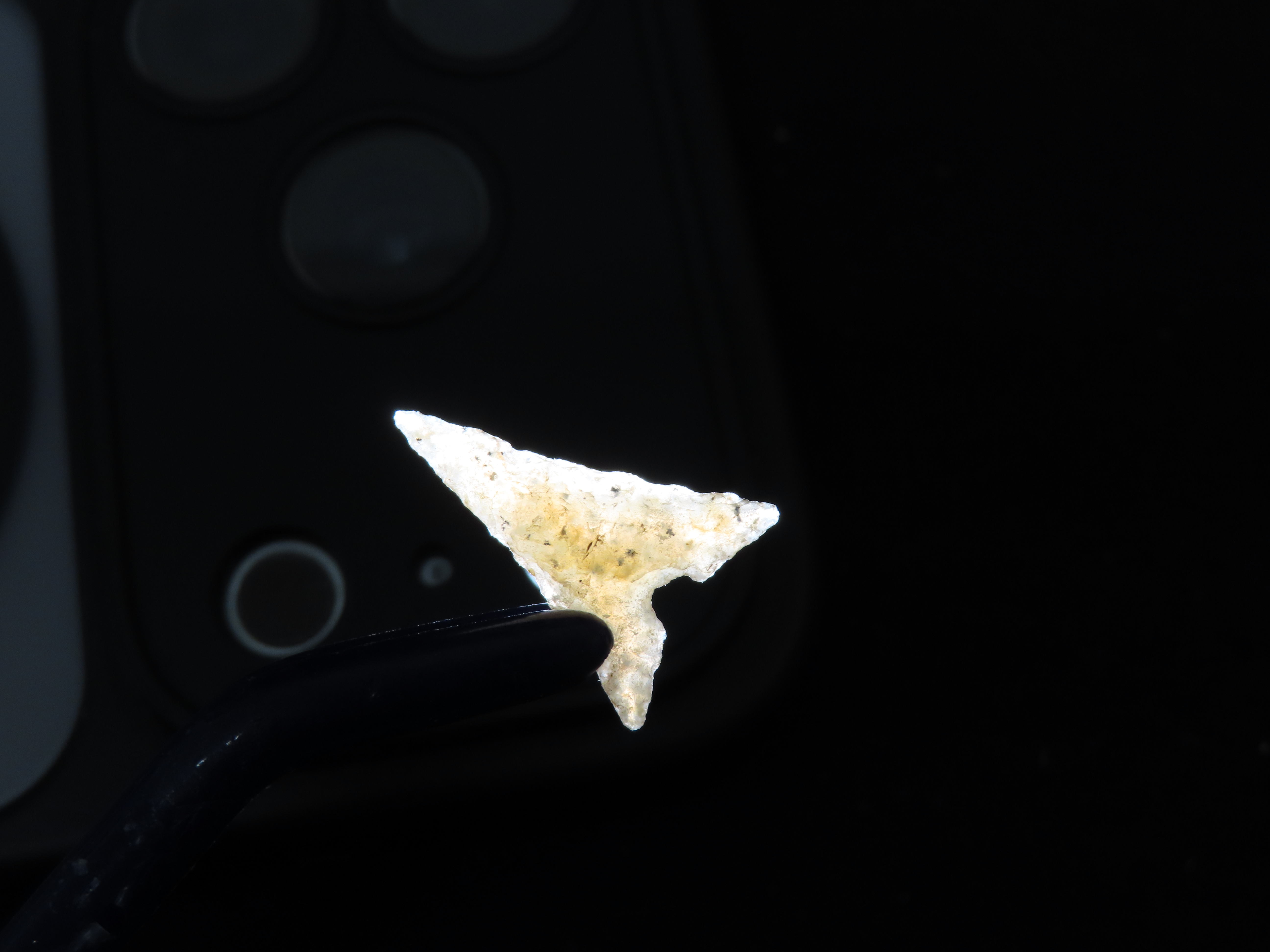 Perfect Translucent Agate Garza Bird Point. Carlos Black COA. Found in N.W. Texas. Ex Jesse Walker & Ex Joey Ellis Collections. Oustanding E