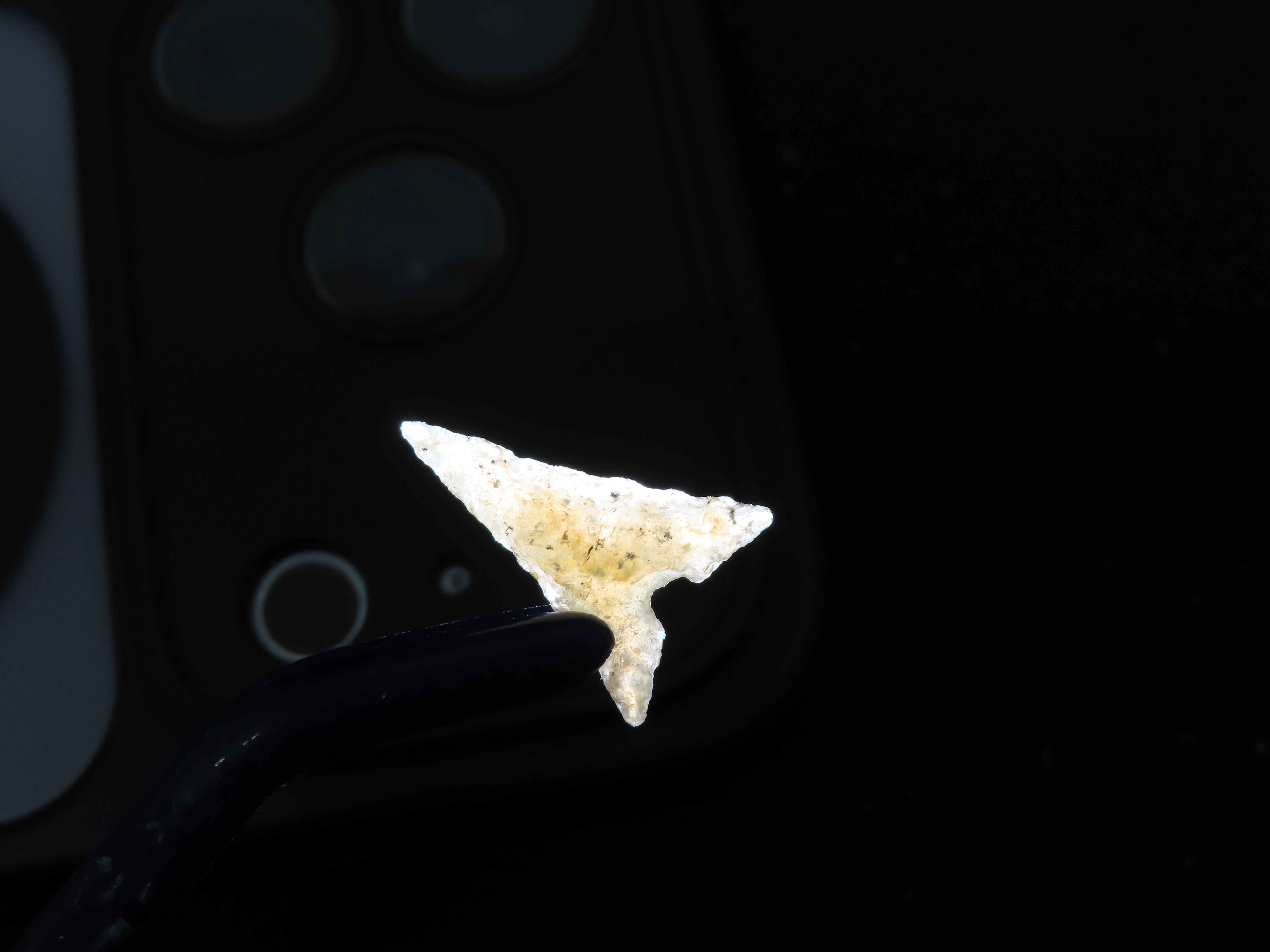Perfect Translucent Agate Garza Bird Point. Carlos Black COA. Found in N.W. Texas. Ex Jesse Walker & Ex Joey Ellis Collections. Oustanding E