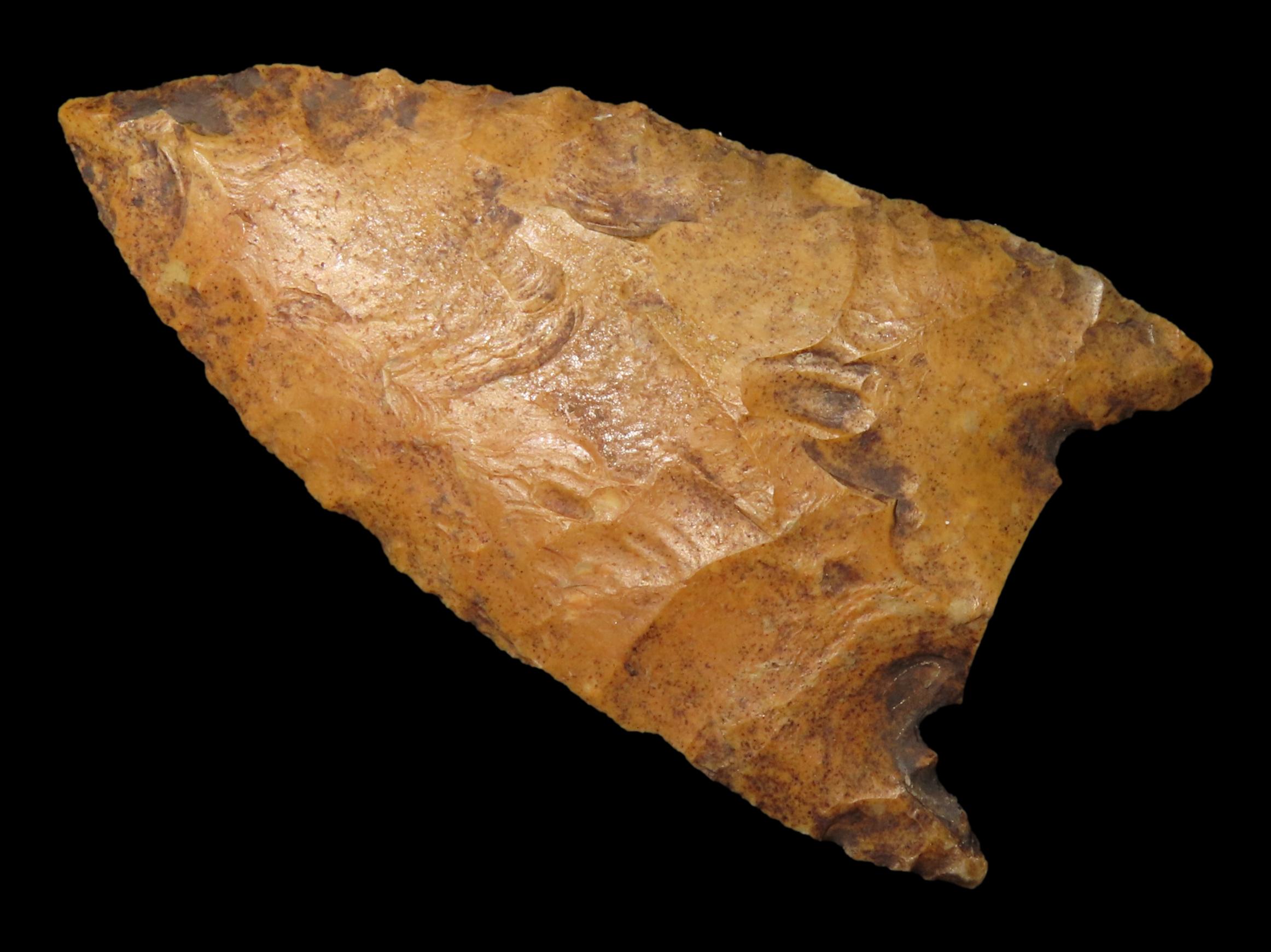 2 1/2" Florida River Stained Kirk Snap Base found in Hernando County, FL. Beautiful Water Stain Patina. Ex Brian Boles Collection. Deep Sout