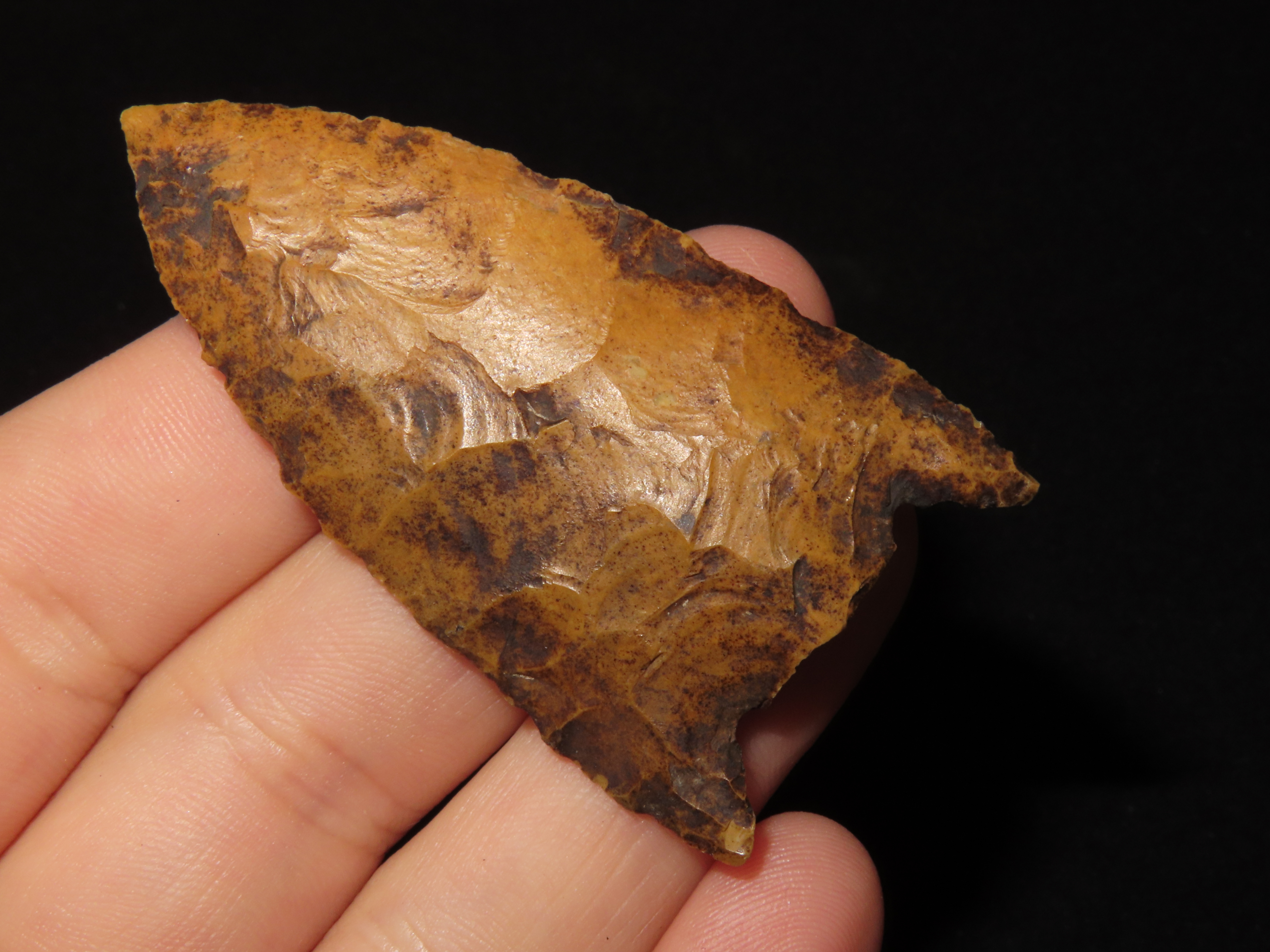 2 1/2" Florida River Stained Kirk Snap Base found in Hernando County, FL. Beautiful Water Stain Patina. Ex Brian Boles Collection. Deep Sout