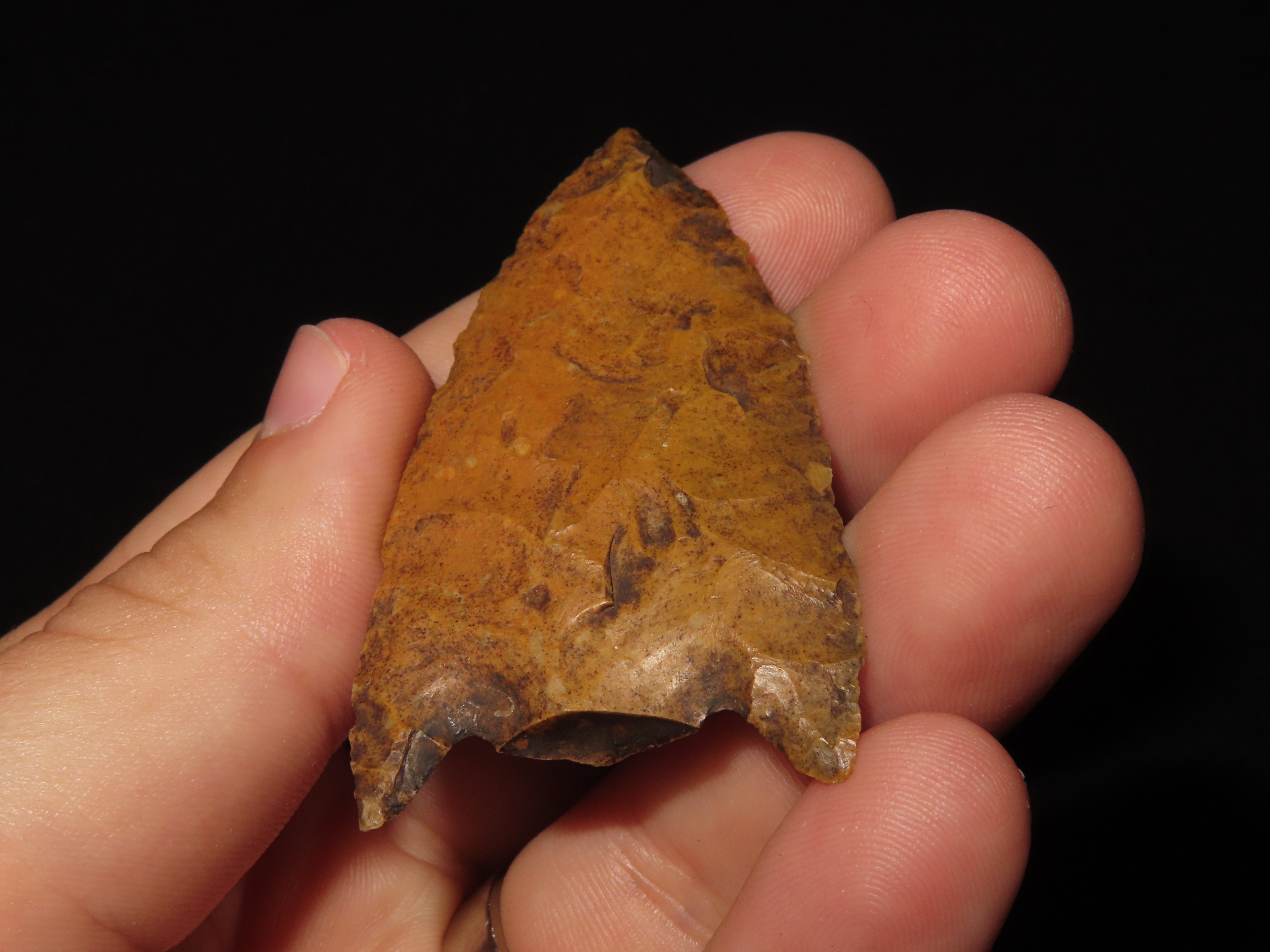 2 1/2" Florida River Stained Kirk Snap Base found in Hernando County, FL. Beautiful Water Stain Patina. Ex Brian Boles Collection. Deep Sout
