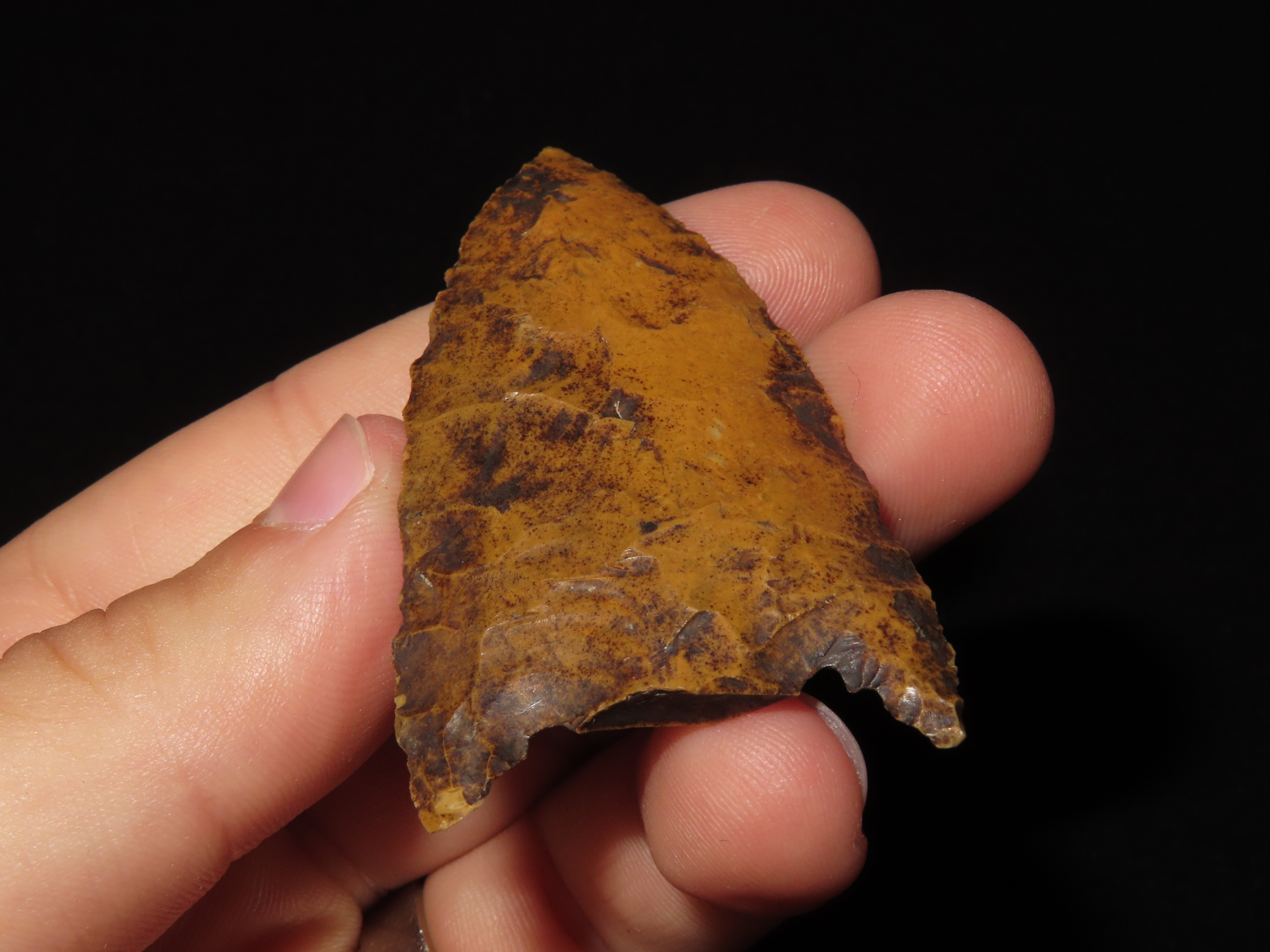 2 1/2" Florida River Stained Kirk Snap Base found in Hernando County, FL. Beautiful Water Stain Patina. Ex Brian Boles Collection. Deep Sout
