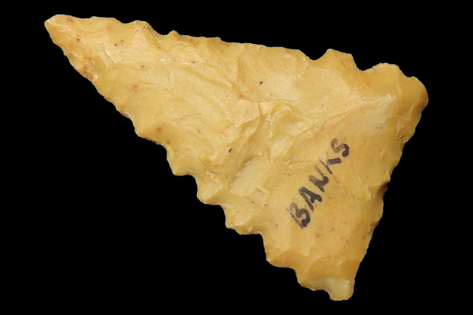 Amazing Serrated Mississippian Triangle found in Bradley County Arkansas. Ex Joey Ellis Collection. Fort Ancient.