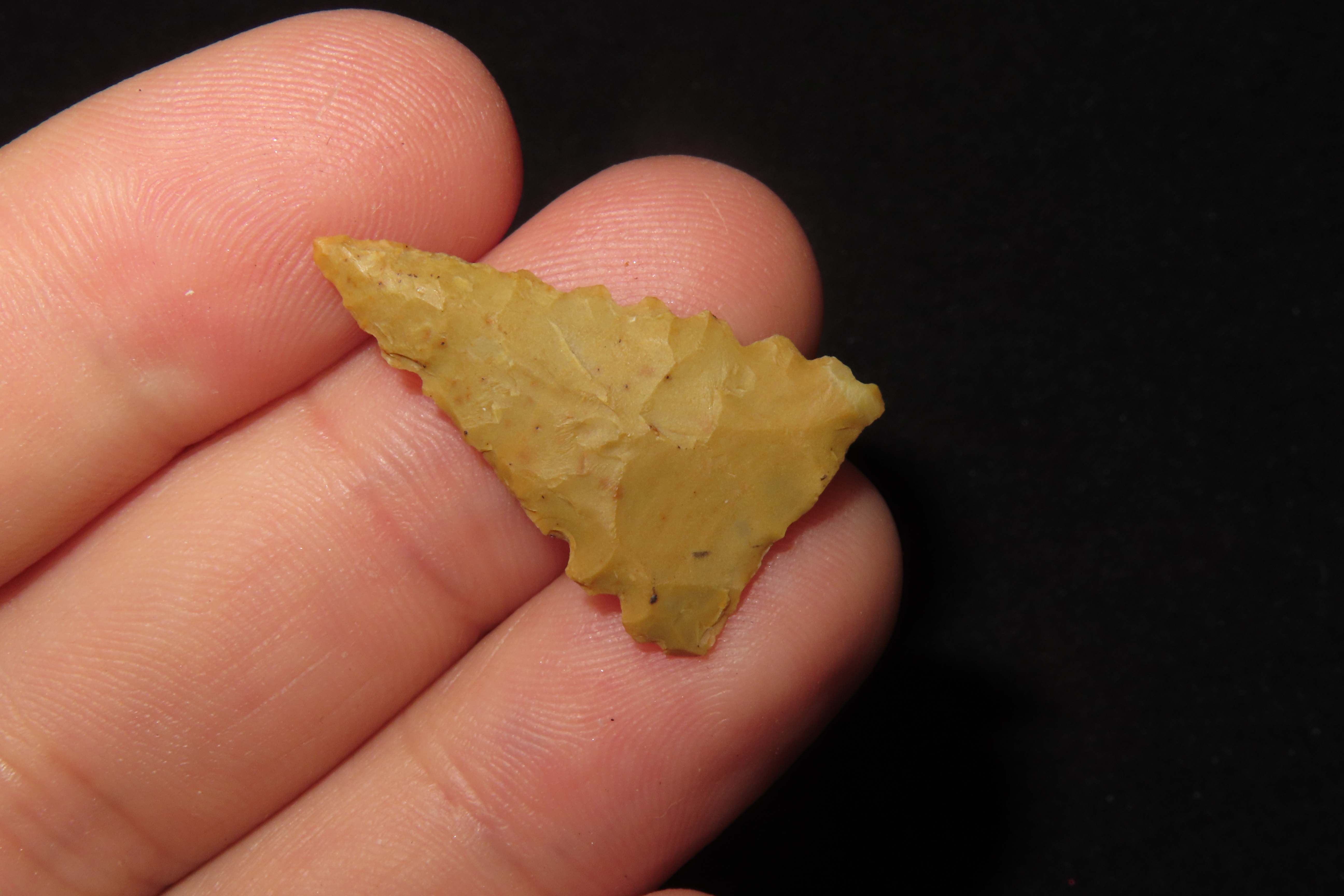 Amazing Serrated Mississippian Triangle found in Bradley County Arkansas. Ex Joey Ellis Collection. Fort Ancient.
