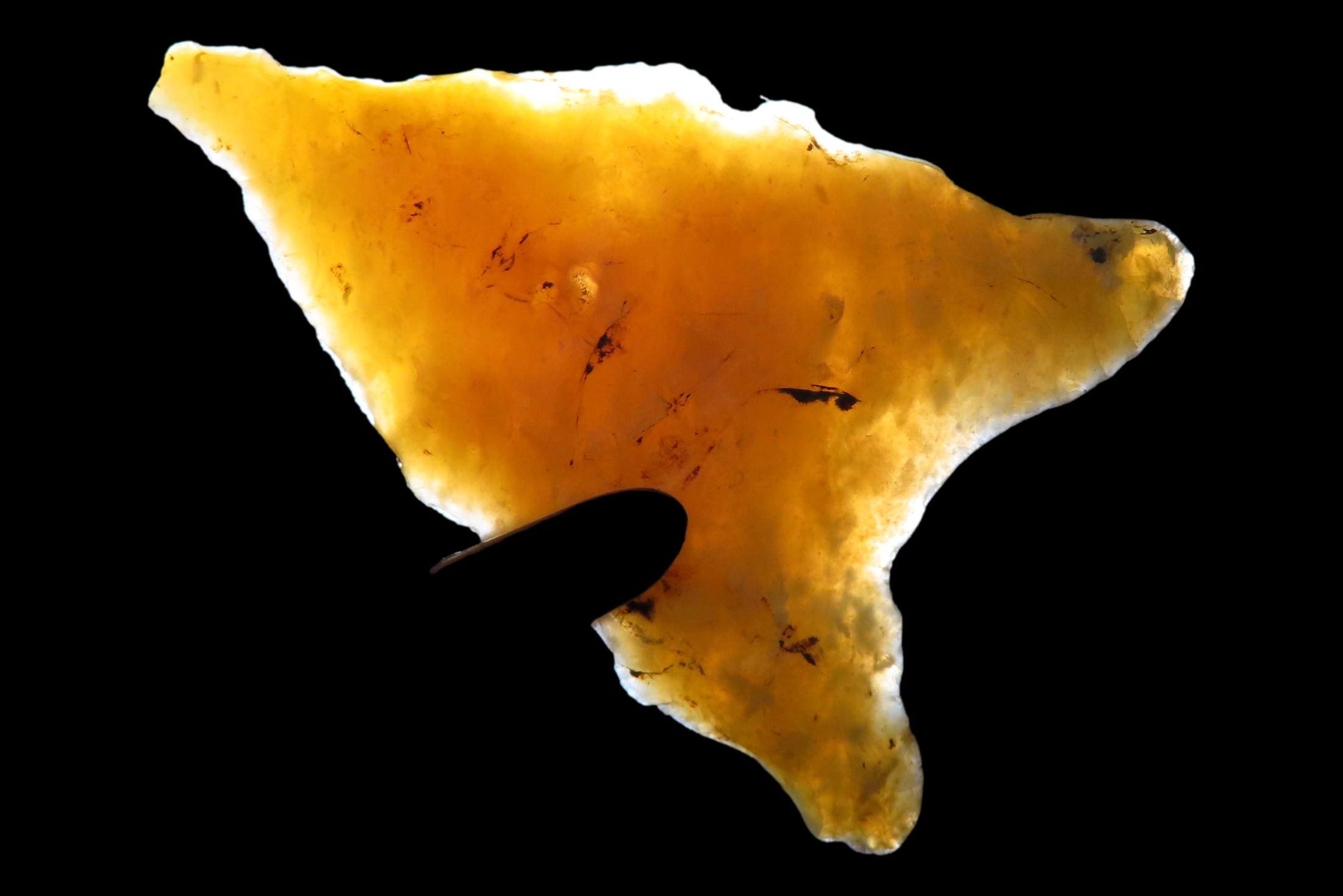 Translucent Florida Candy Sante Fe / Tallahassee Dalton found in Jefferson County FL. Ex Brian Boles Collection. Deep South Arrowhead.