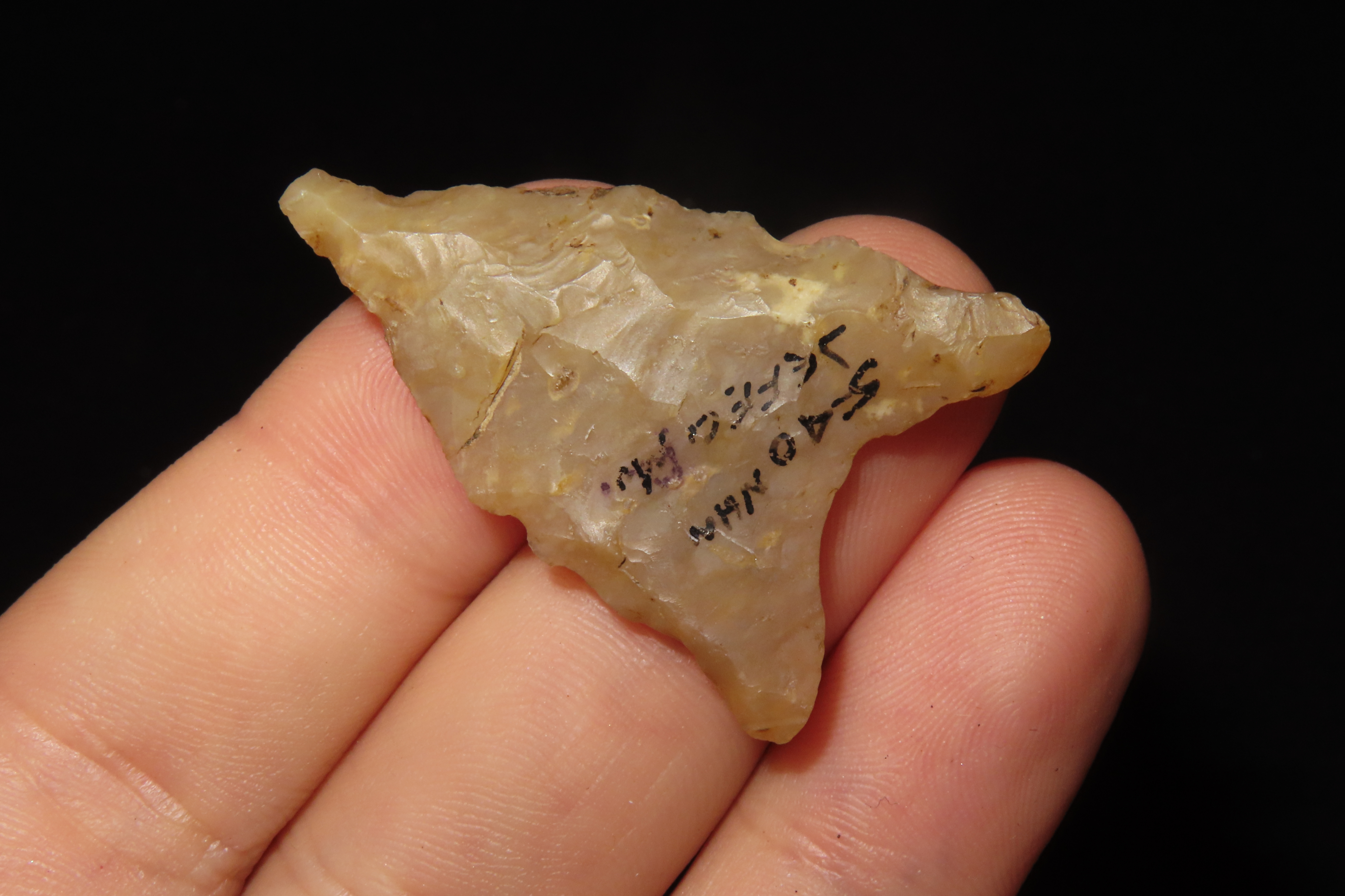Translucent Florida Candy Sante Fe / Tallahassee Dalton found in Jefferson County FL. Ex Brian Boles Collection. Deep South Arrowhead.
