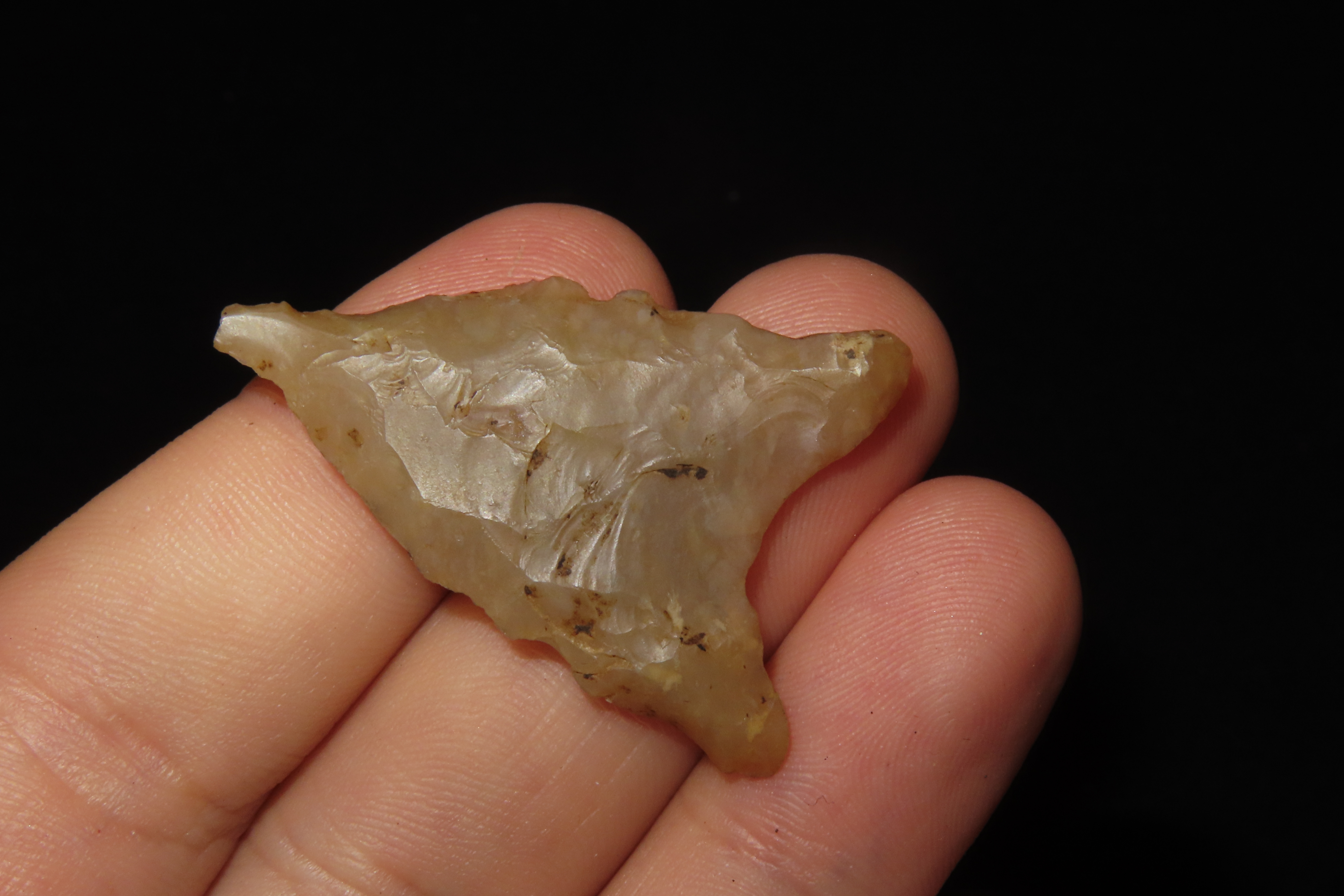 Translucent Florida Candy Sante Fe / Tallahassee Dalton found in Jefferson County FL. Ex Brian Boles Collection. Deep South Arrowhead.
