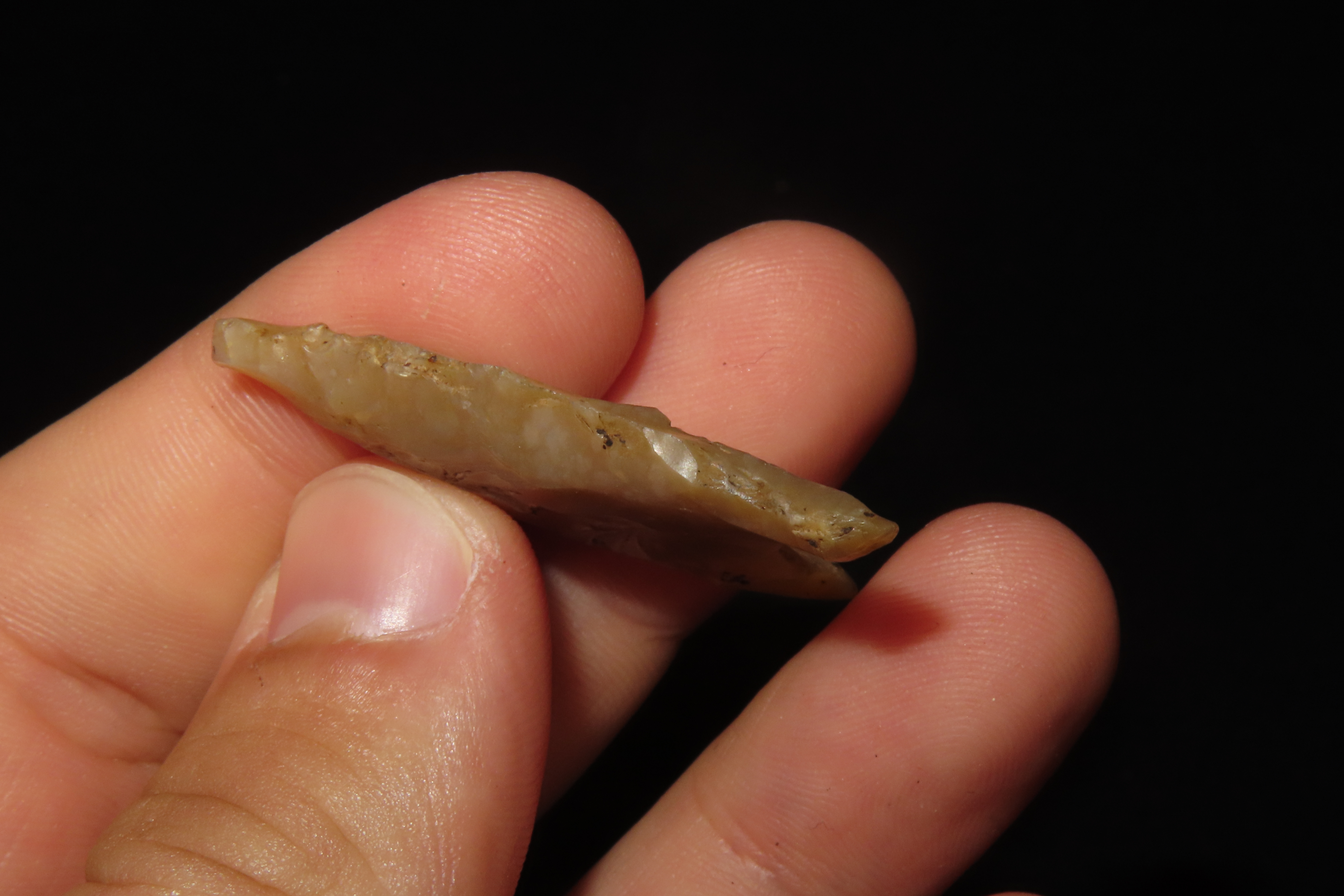 Translucent Florida Candy Sante Fe / Tallahassee Dalton found in Jefferson County FL. Ex Brian Boles Collection. Deep South Arrowhead.