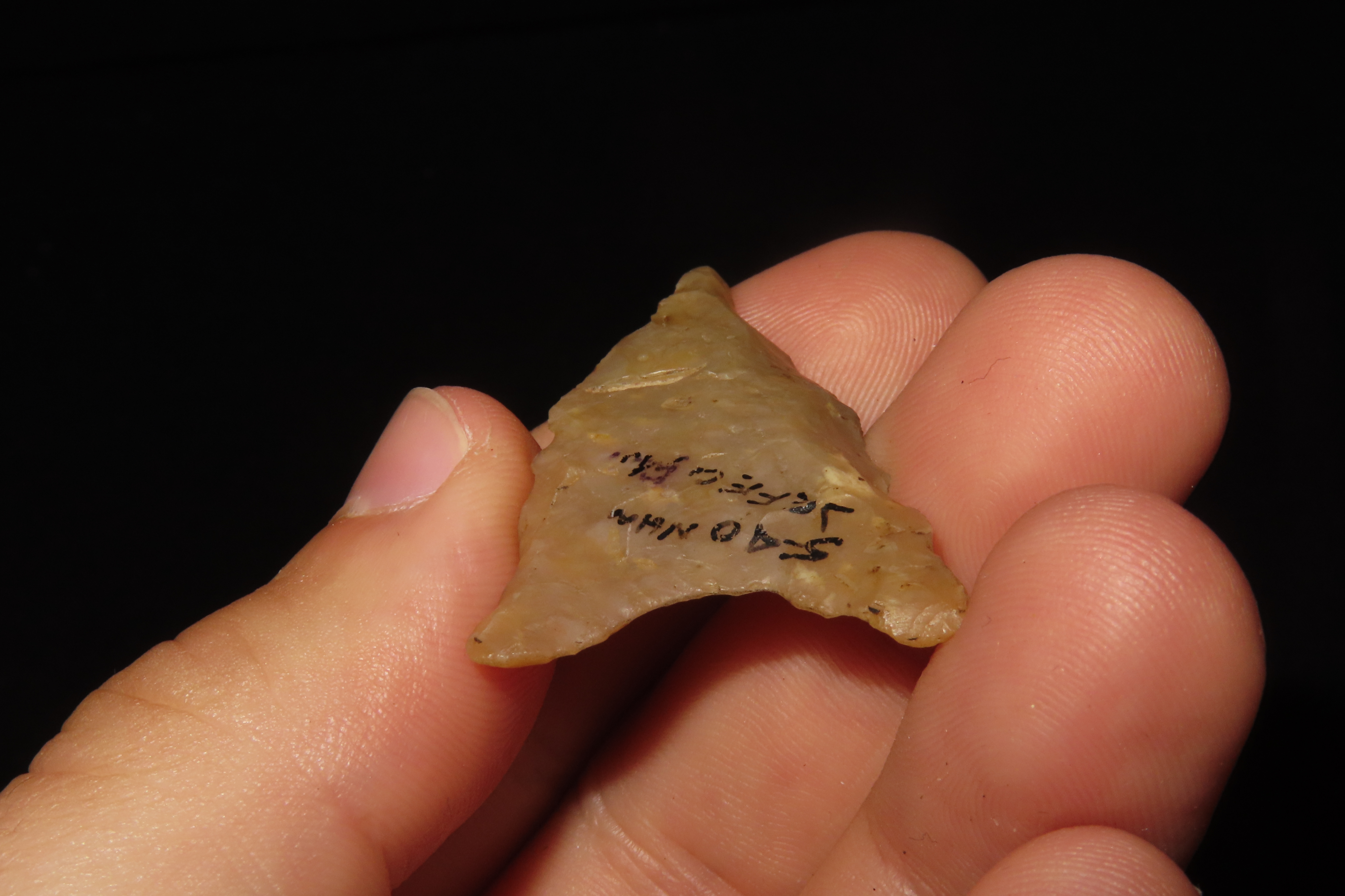 Translucent Florida Candy Sante Fe / Tallahassee Dalton found in Jefferson County FL. Ex Brian Boles Collection. Deep South Arrowhead.