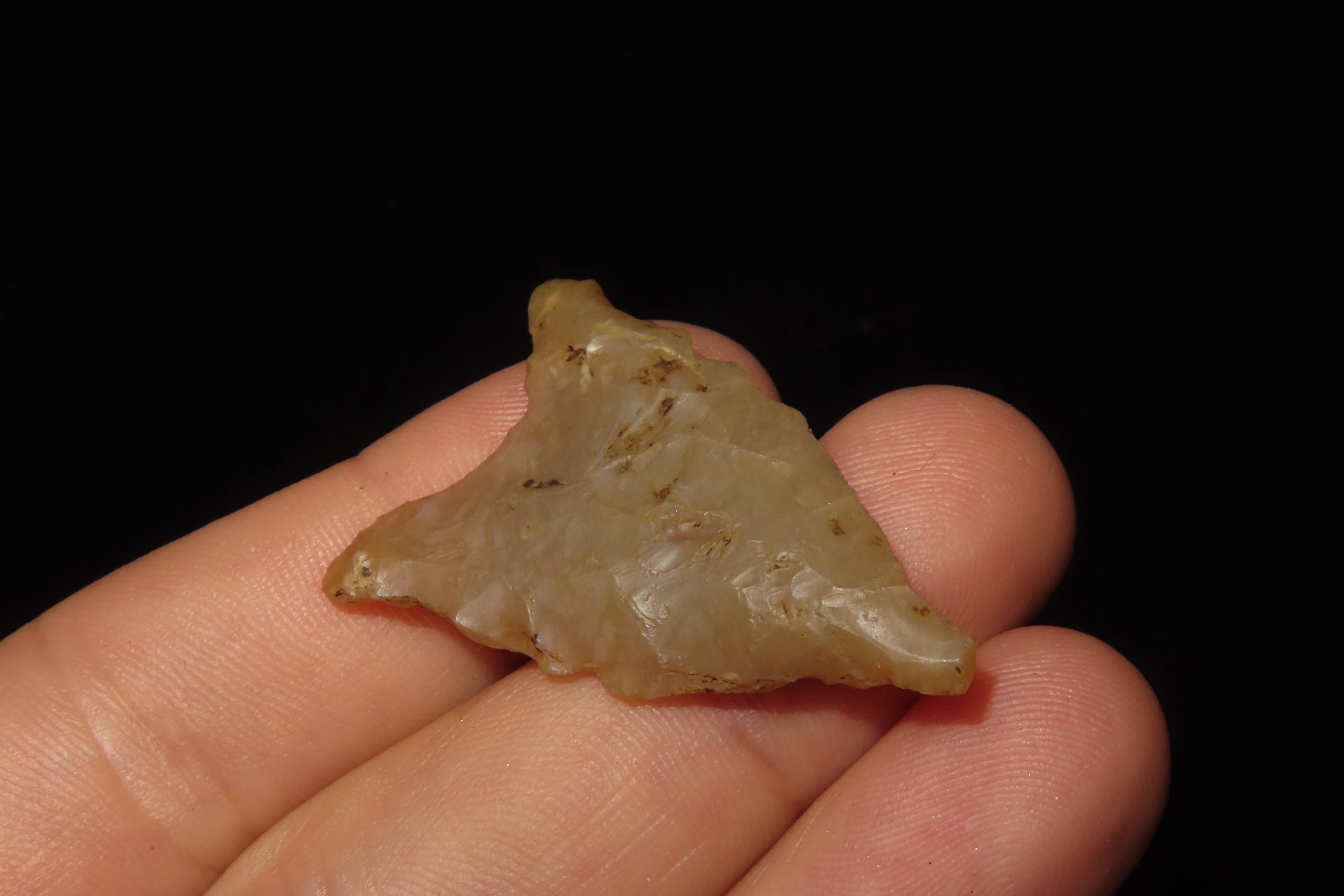 Translucent Florida Candy Sante Fe / Tallahassee Dalton found in Jefferson County FL. Ex Brian Boles Collection. Deep South Arrowhead.