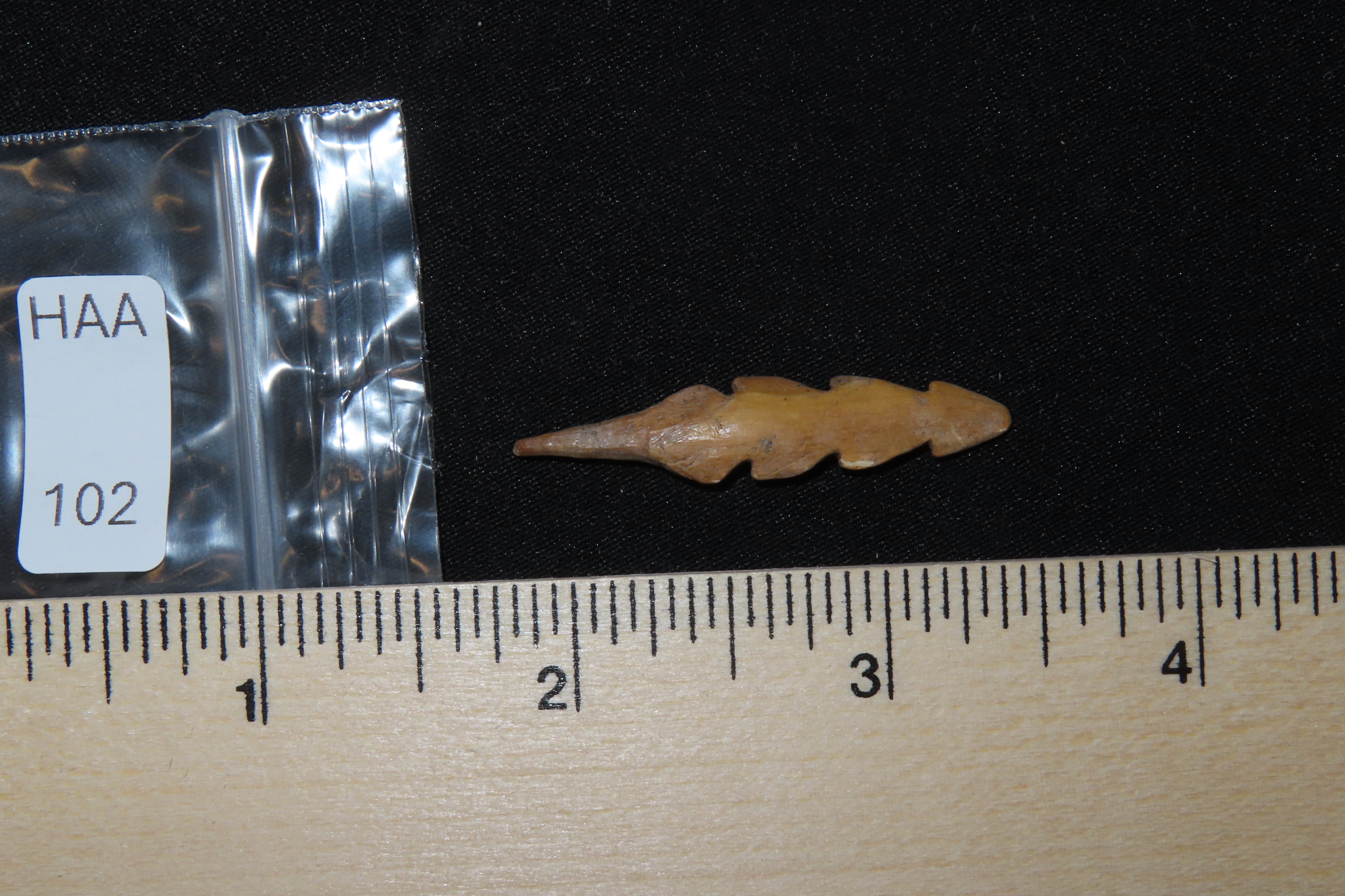 Amazing Alaskan Harpoon with great form and no damage. Found along the Bearing Straight in Alaska.