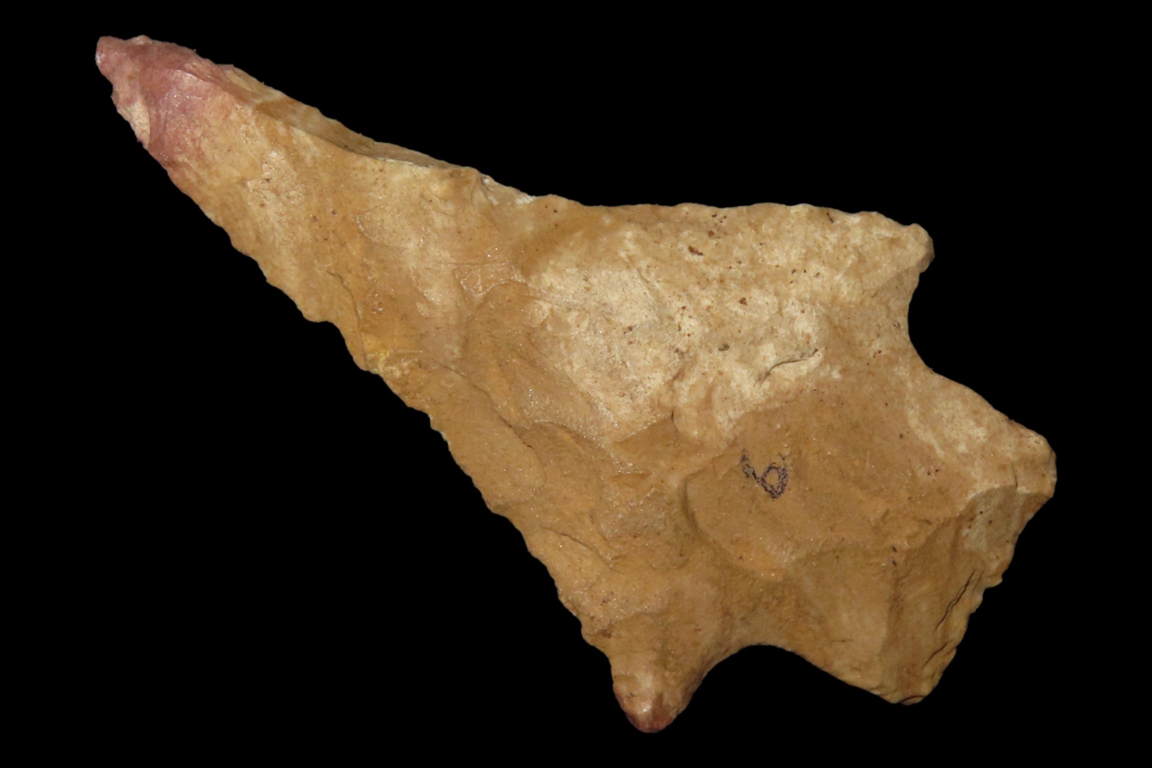 Nice 2 3/8" Florida Kirk Stemmed found in Pinellas County, FL. Ex Brian Boles Collection. Deep South Arrowhead.