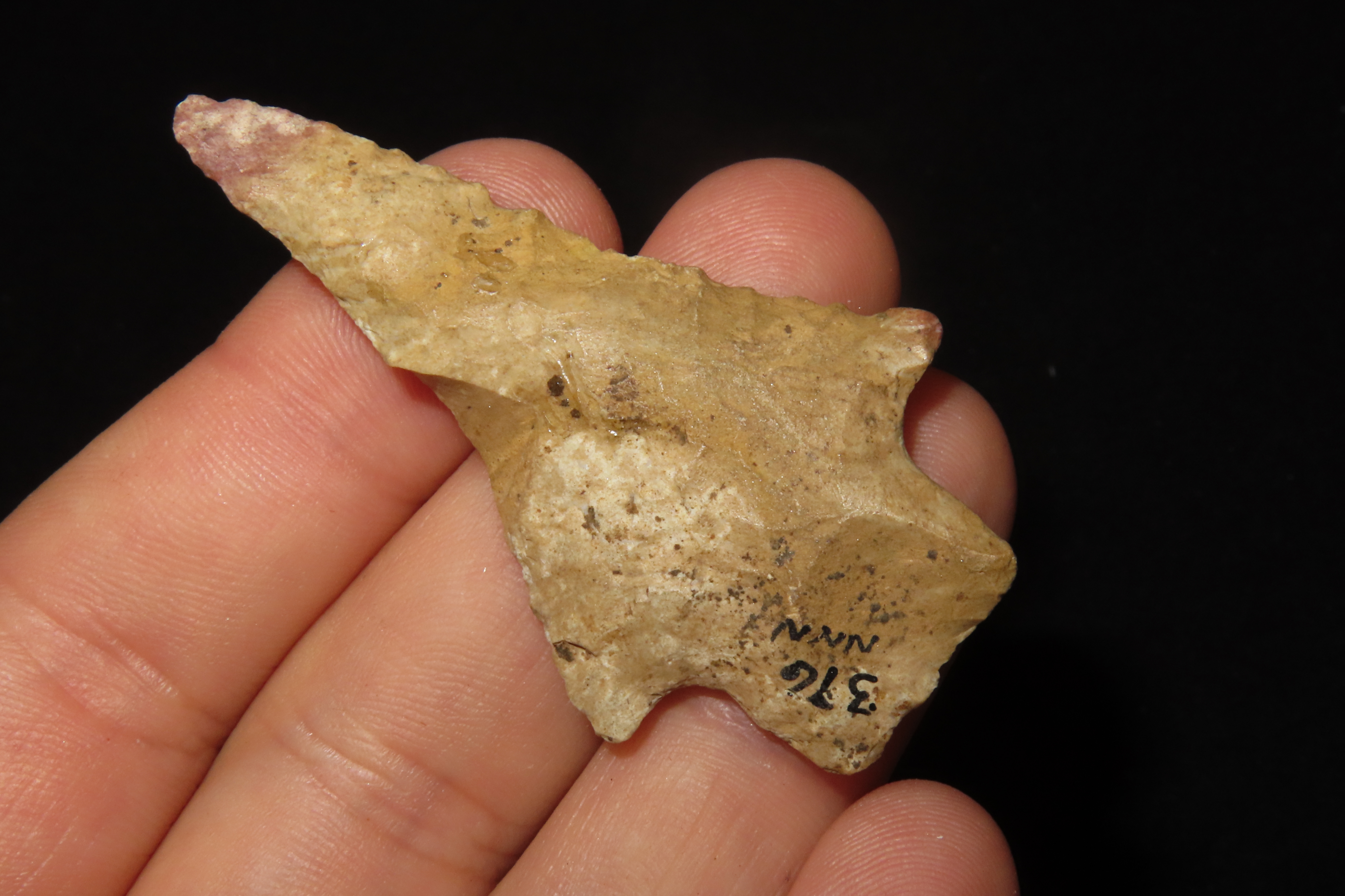 Nice 2 3/8" Florida Kirk Stemmed found in Pinellas County, FL. Ex Brian Boles Collection. Deep South Arrowhead.