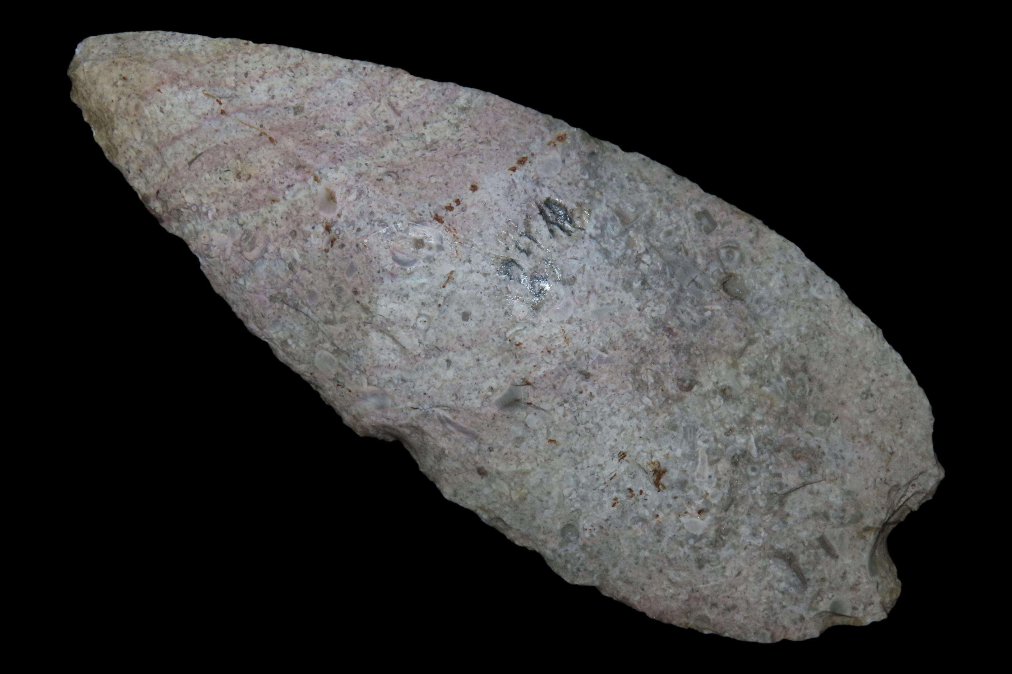 Huge 5 7/8" Archaic Knife Blade found in Southern Missouri. Well patinated with nice color! Nice large Example!