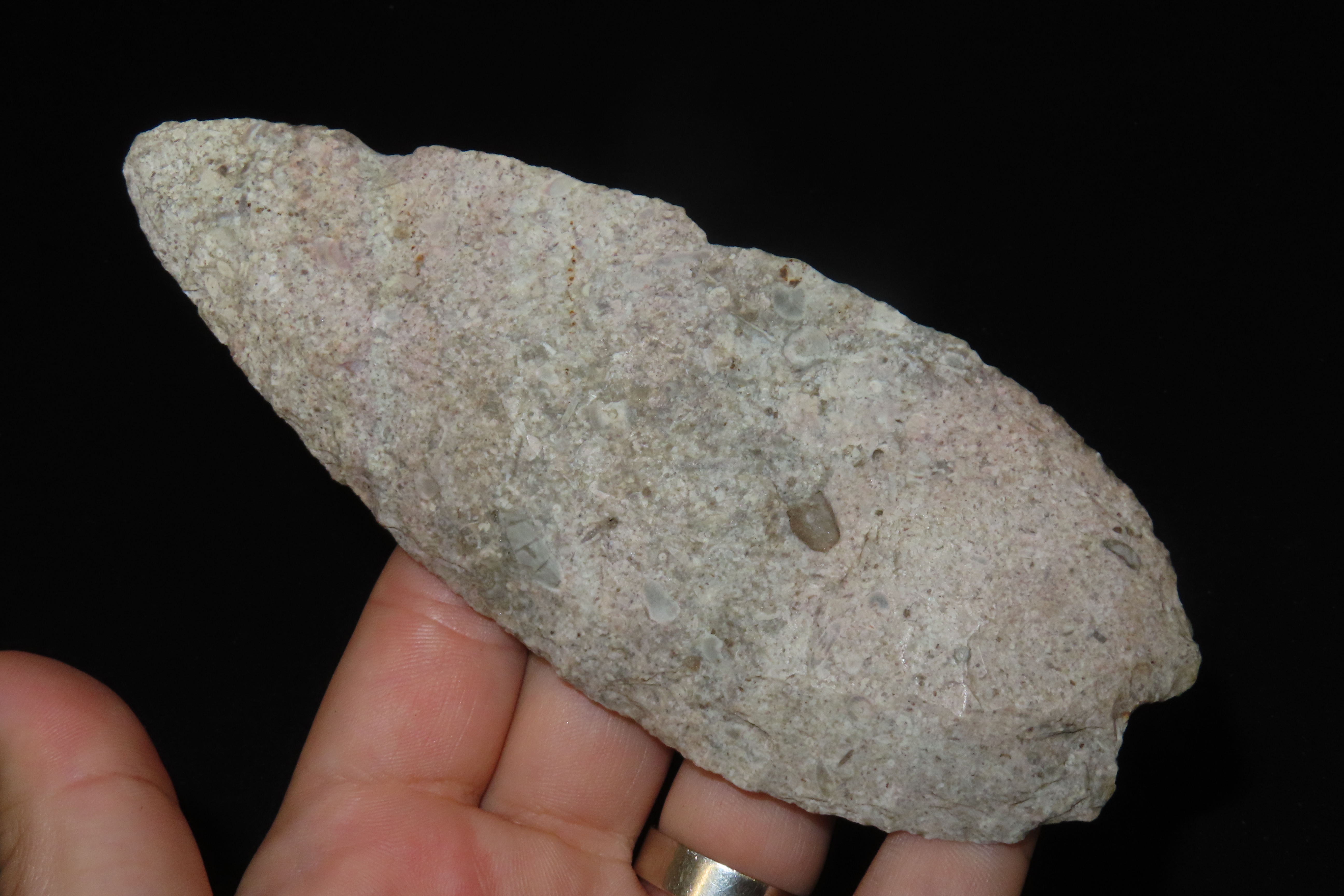Huge 5 7/8" Archaic Knife Blade found in Southern Missouri. Well patinated with nice color! Nice large Example!