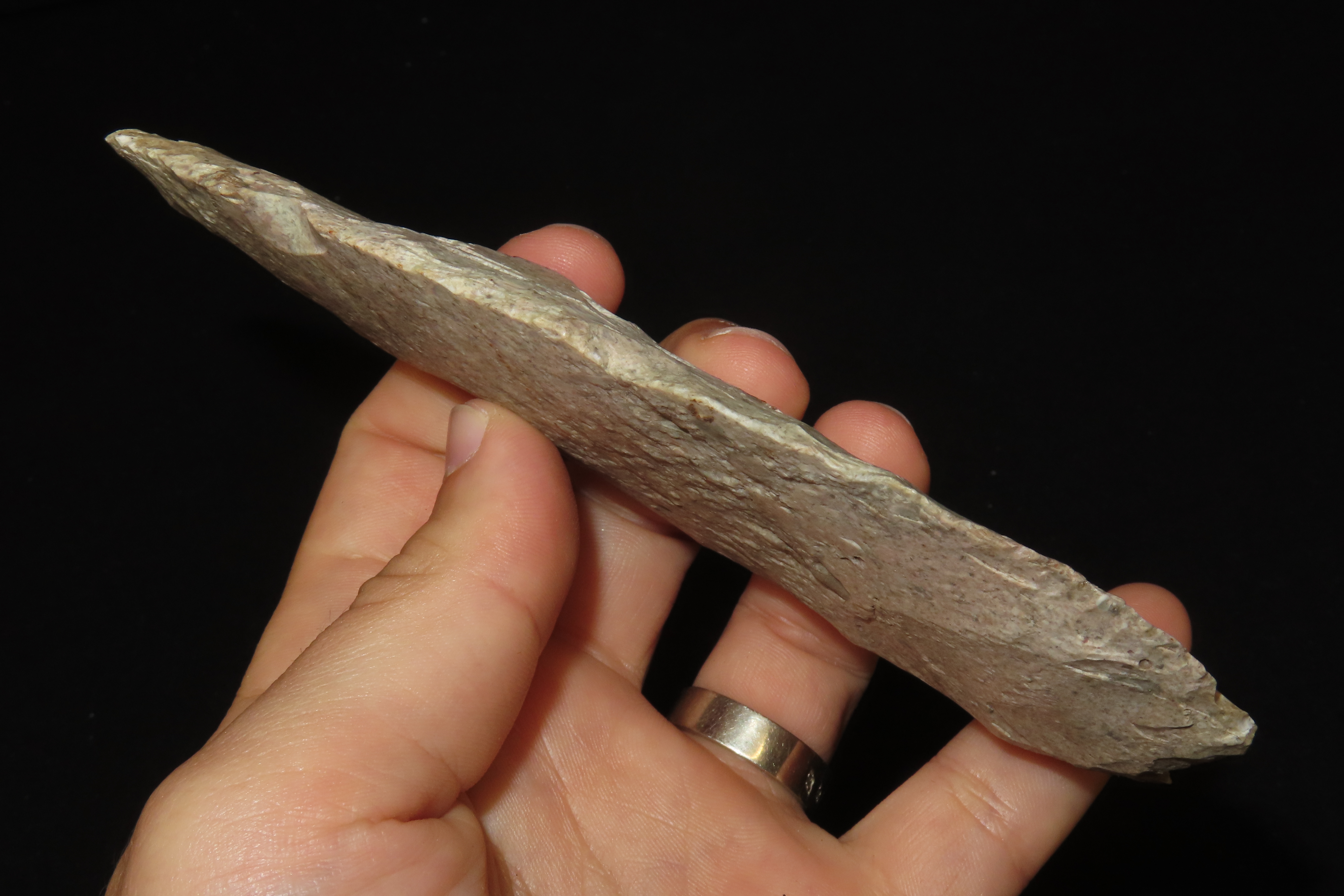 Huge 5 7/8" Archaic Knife Blade found in Southern Missouri. Well patinated with nice color! Nice large Example!