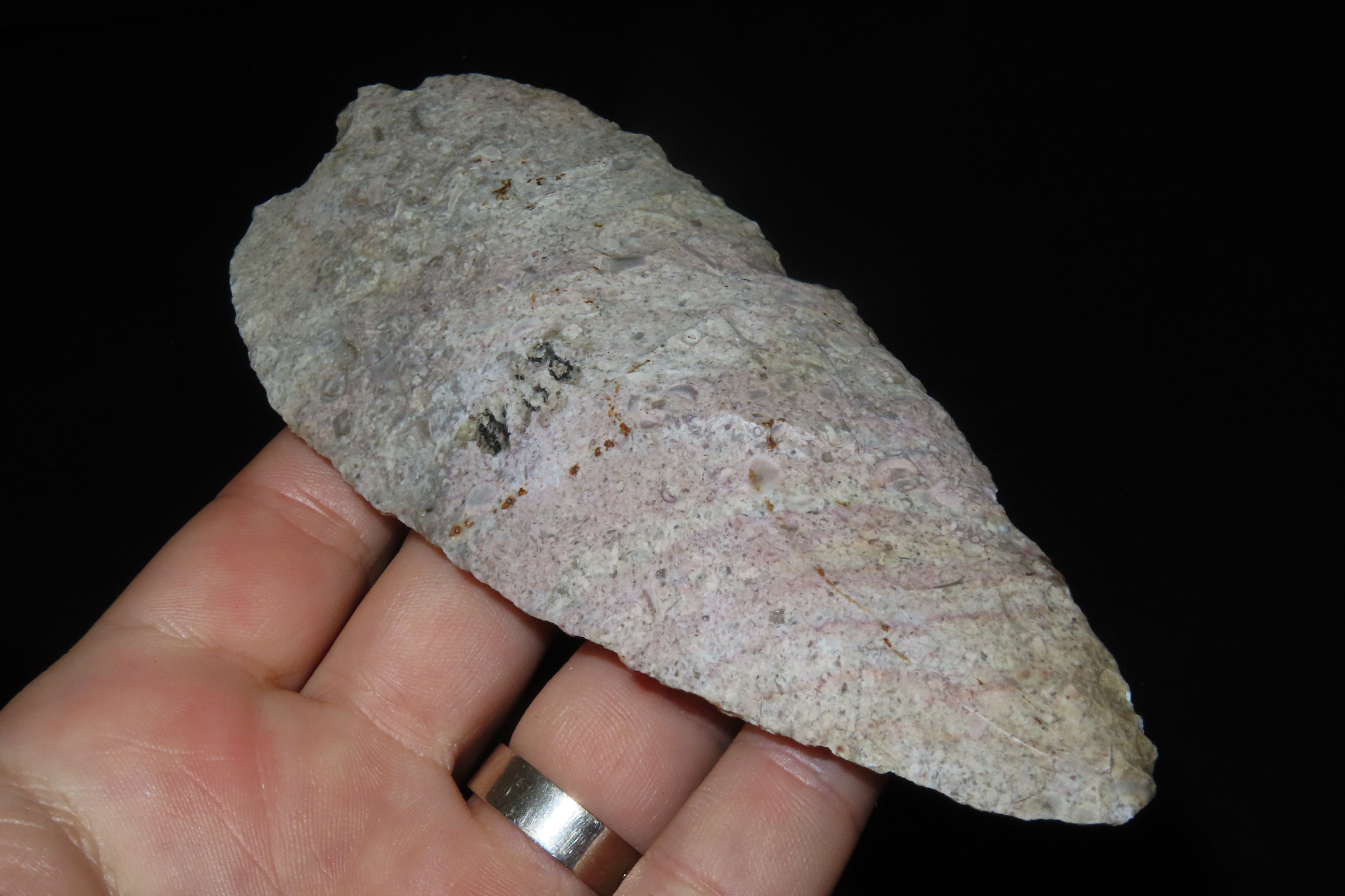 Huge 5 7/8" Archaic Knife Blade found in Southern Missouri. Well patinated with nice color! Nice large Example!