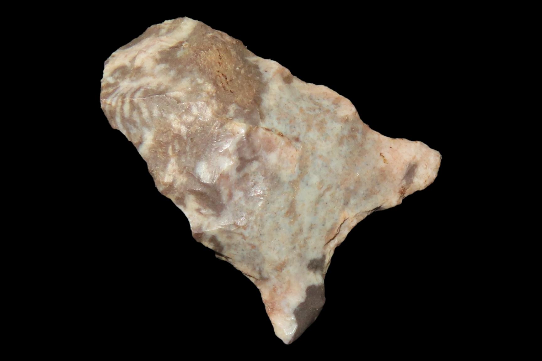 Colorful Dalton Blunt Hafted Scraper found in Northern Arkansas. Ex Joey Ellis Collection.