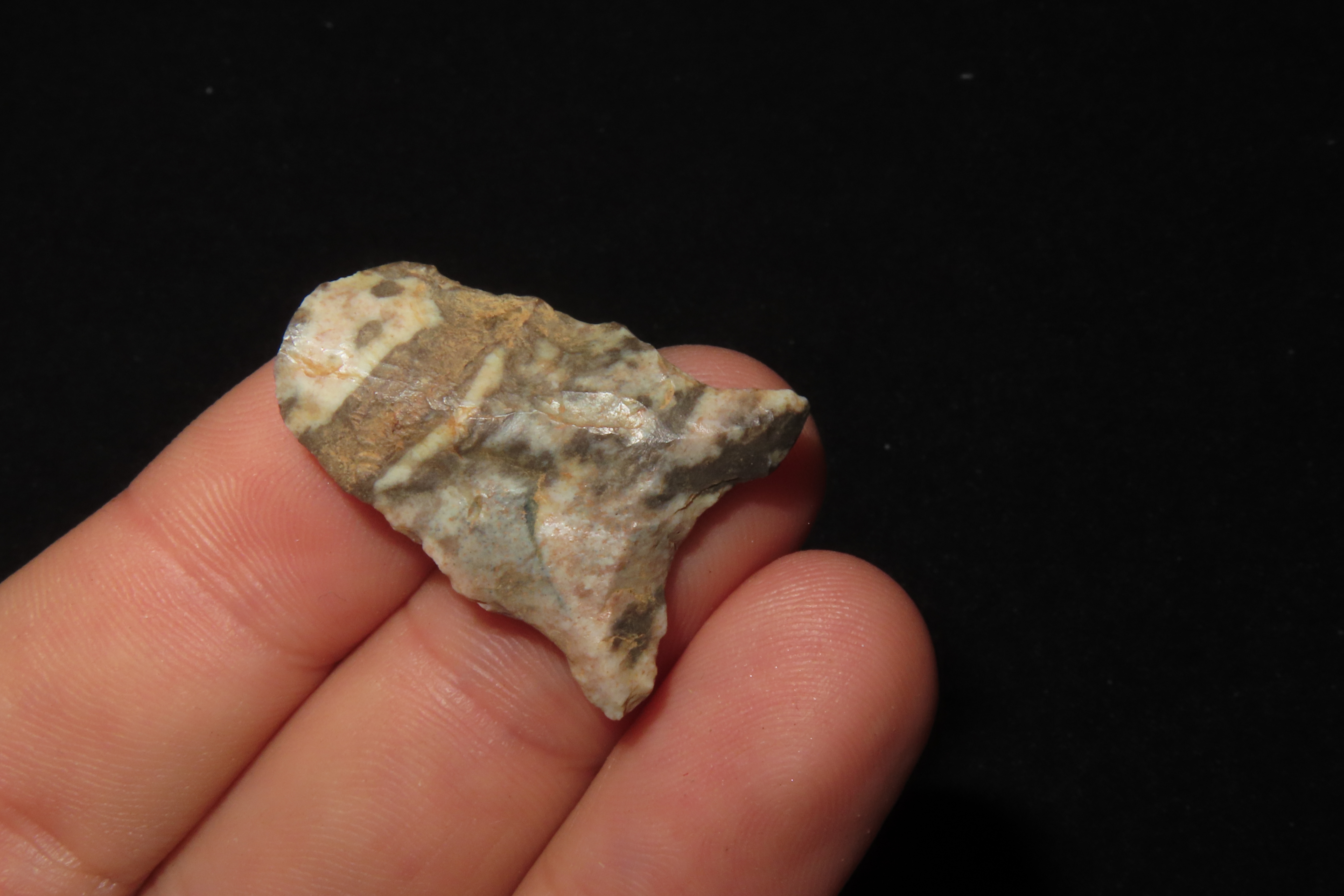 Colorful Dalton Blunt Hafted Scraper found in Northern Arkansas. Ex Joey Ellis Collection.