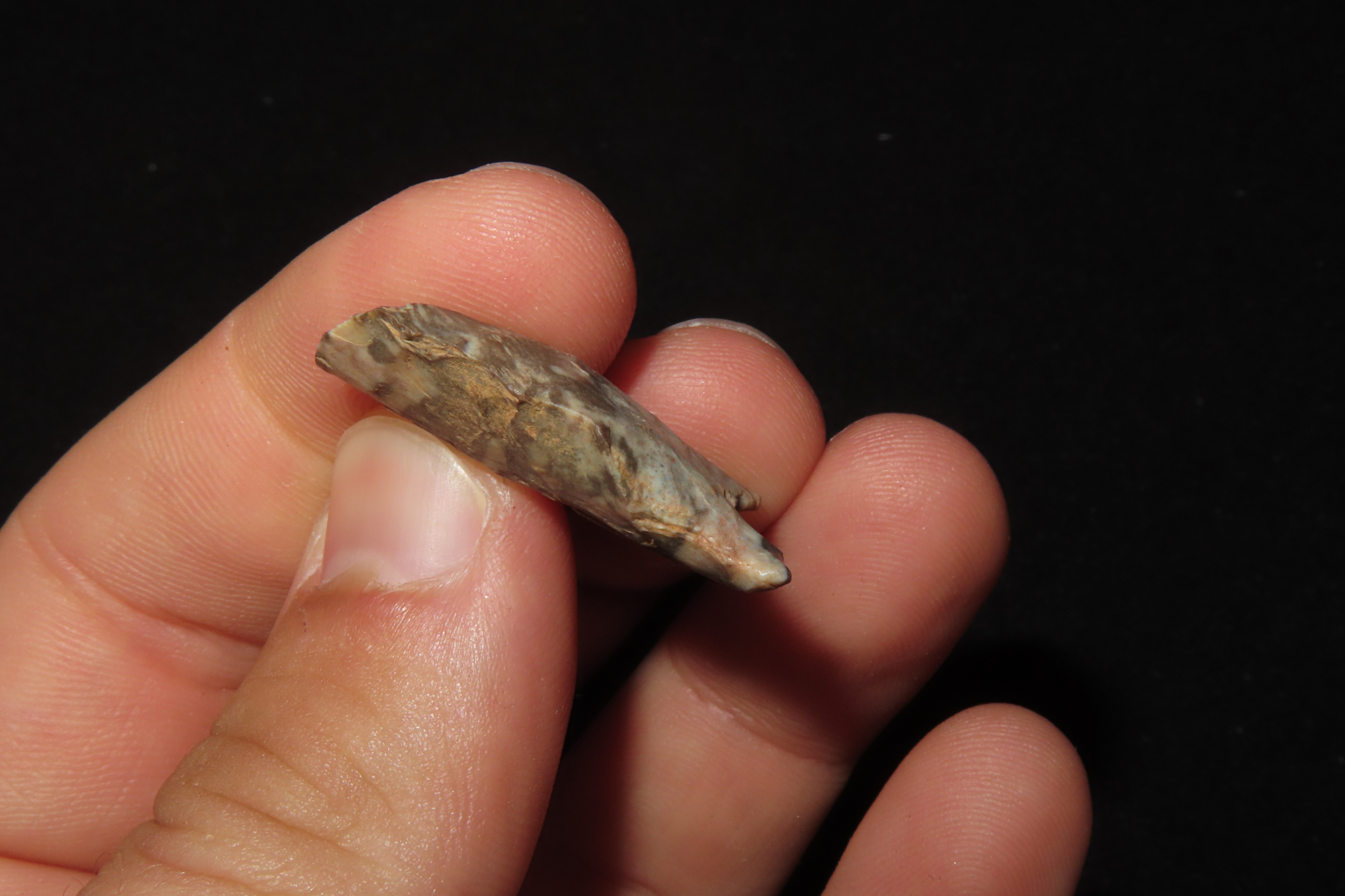 Colorful Dalton Blunt Hafted Scraper found in Northern Arkansas. Ex Joey Ellis Collection.