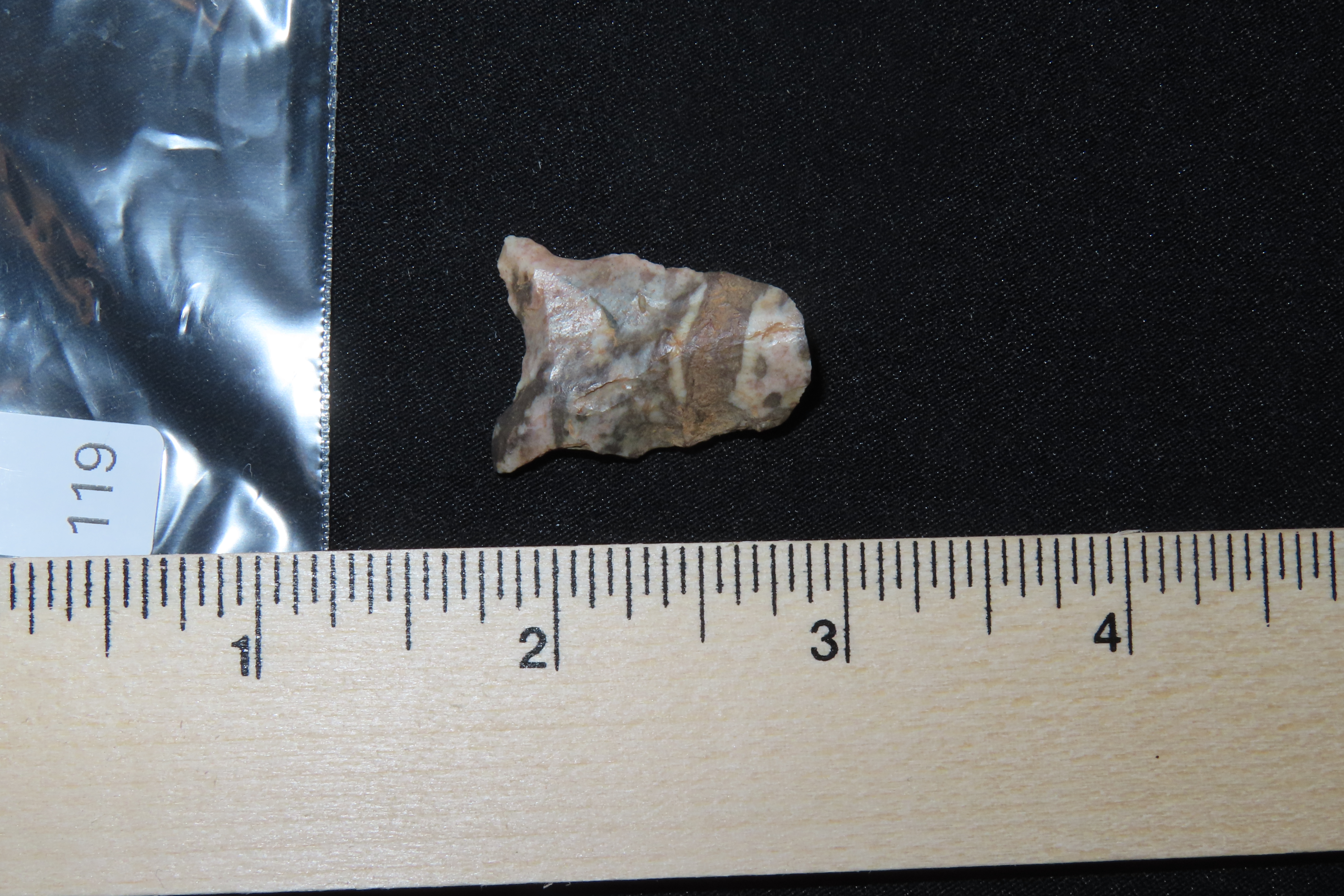 Colorful Dalton Blunt Hafted Scraper found in Northern Arkansas. Ex Joey Ellis Collection.