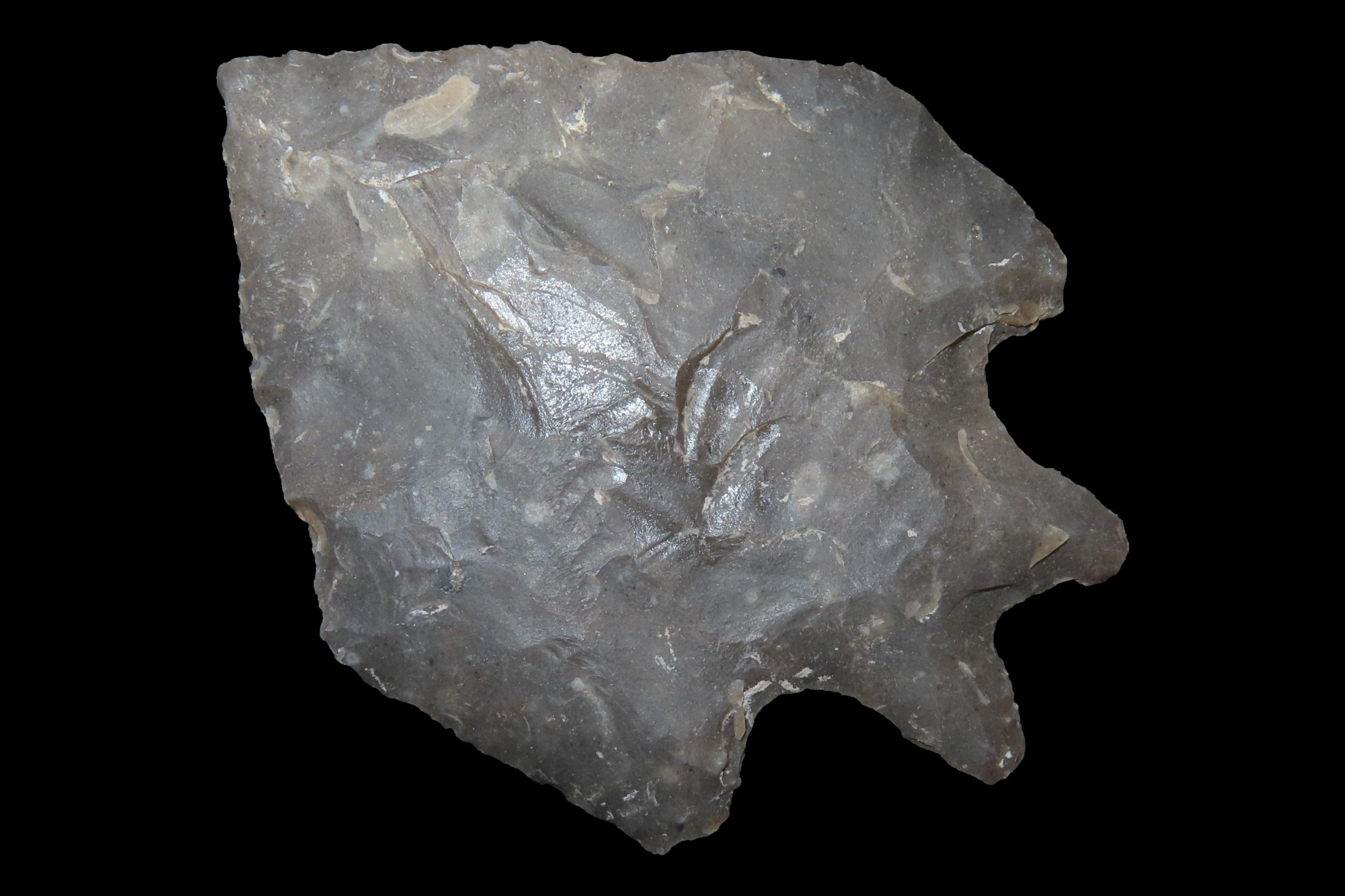 Incredible 2 7/8" Texas Pentagonal Pedernales / Perd found in Kerr County TX. Finely Flaked example with great no brainer patina!