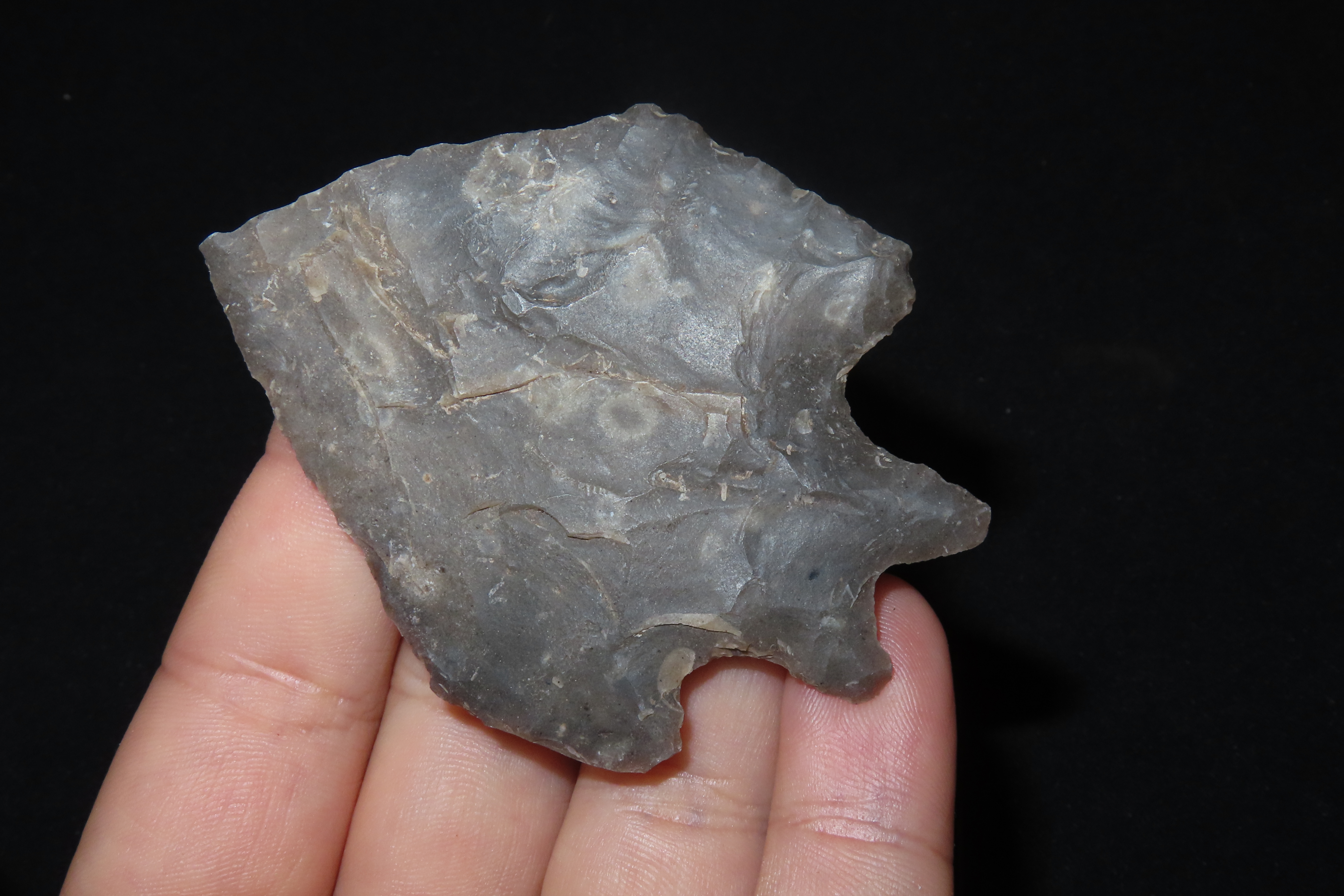 Incredible 2 7/8" Texas Pentagonal Pedernales / Perd found in Kerr County TX. Finely Flaked example with great no brainer patina!