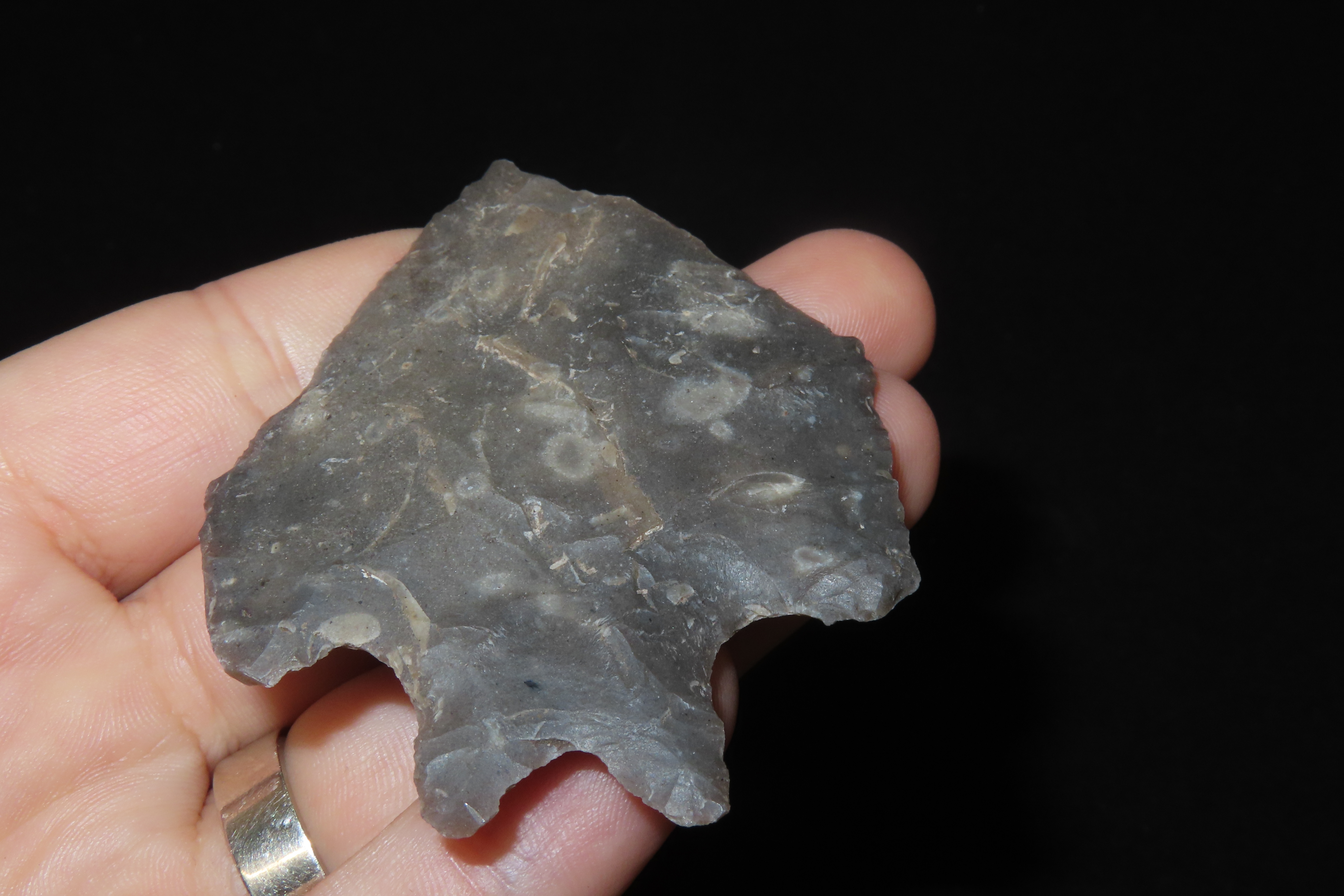 Incredible 2 7/8" Texas Pentagonal Pedernales / Perd found in Kerr County TX. Finely Flaked example with great no brainer patina!