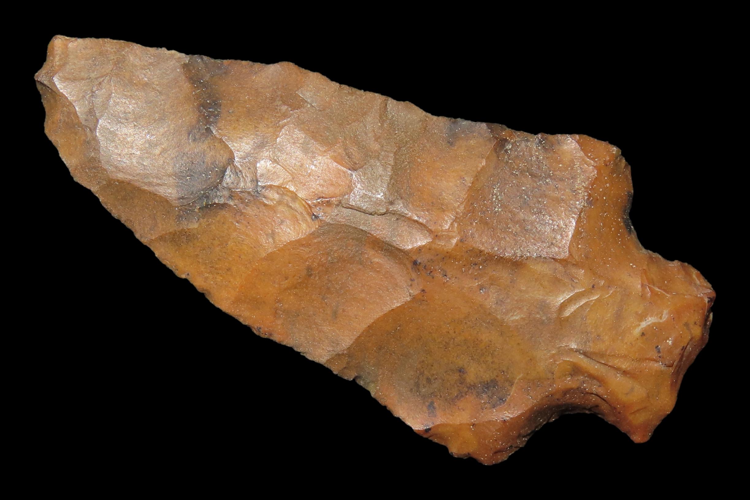 Colorful 2 5/8" River Stained Florida Candy Cottonbridge found in Pinellas County, FL. Ex Brian Boles Collection. Deep South Arrowhead.