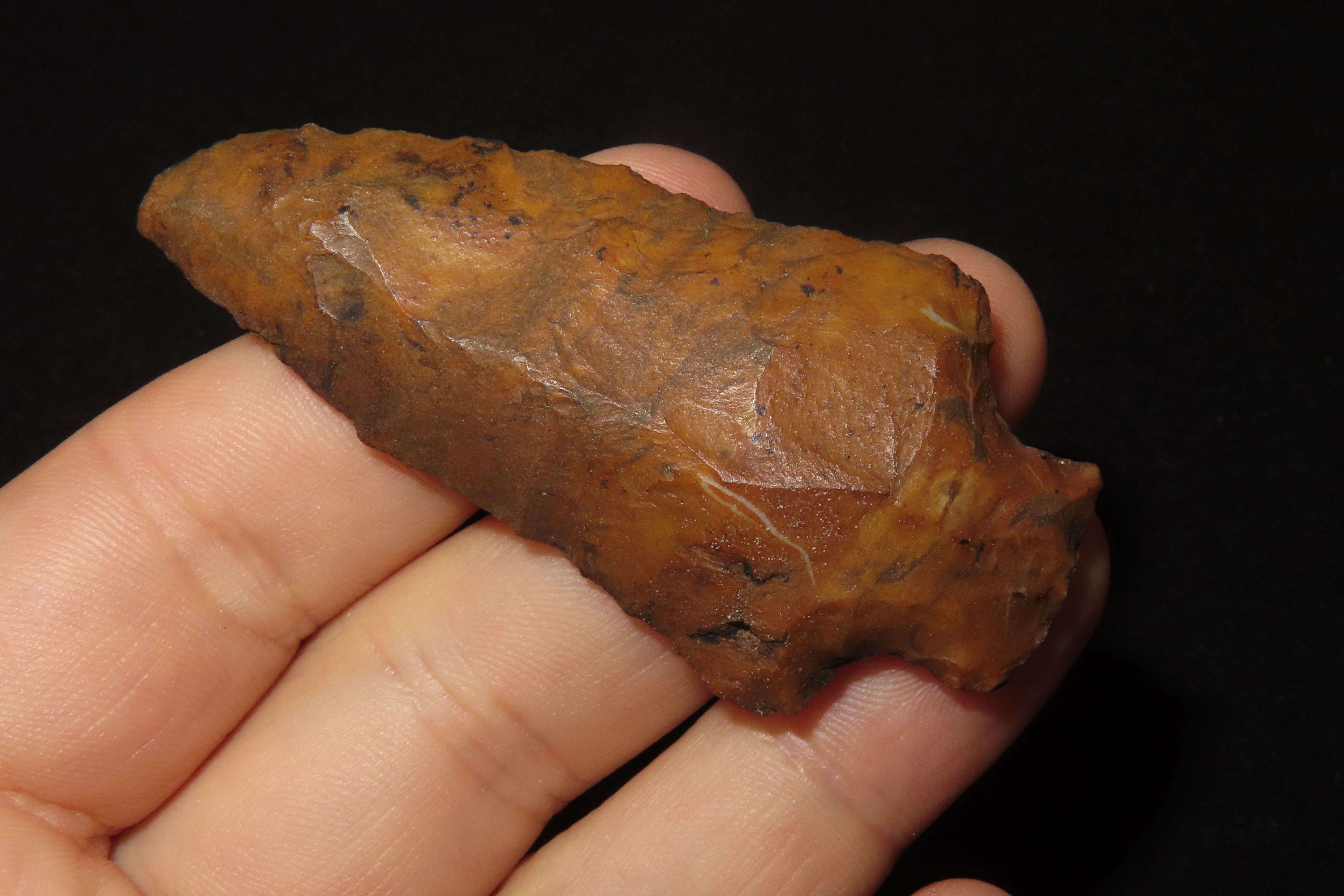 Colorful 2 5/8" River Stained Florida Candy Cottonbridge found in Pinellas County, FL. Ex Brian Boles Collection. Deep South Arrowhead.