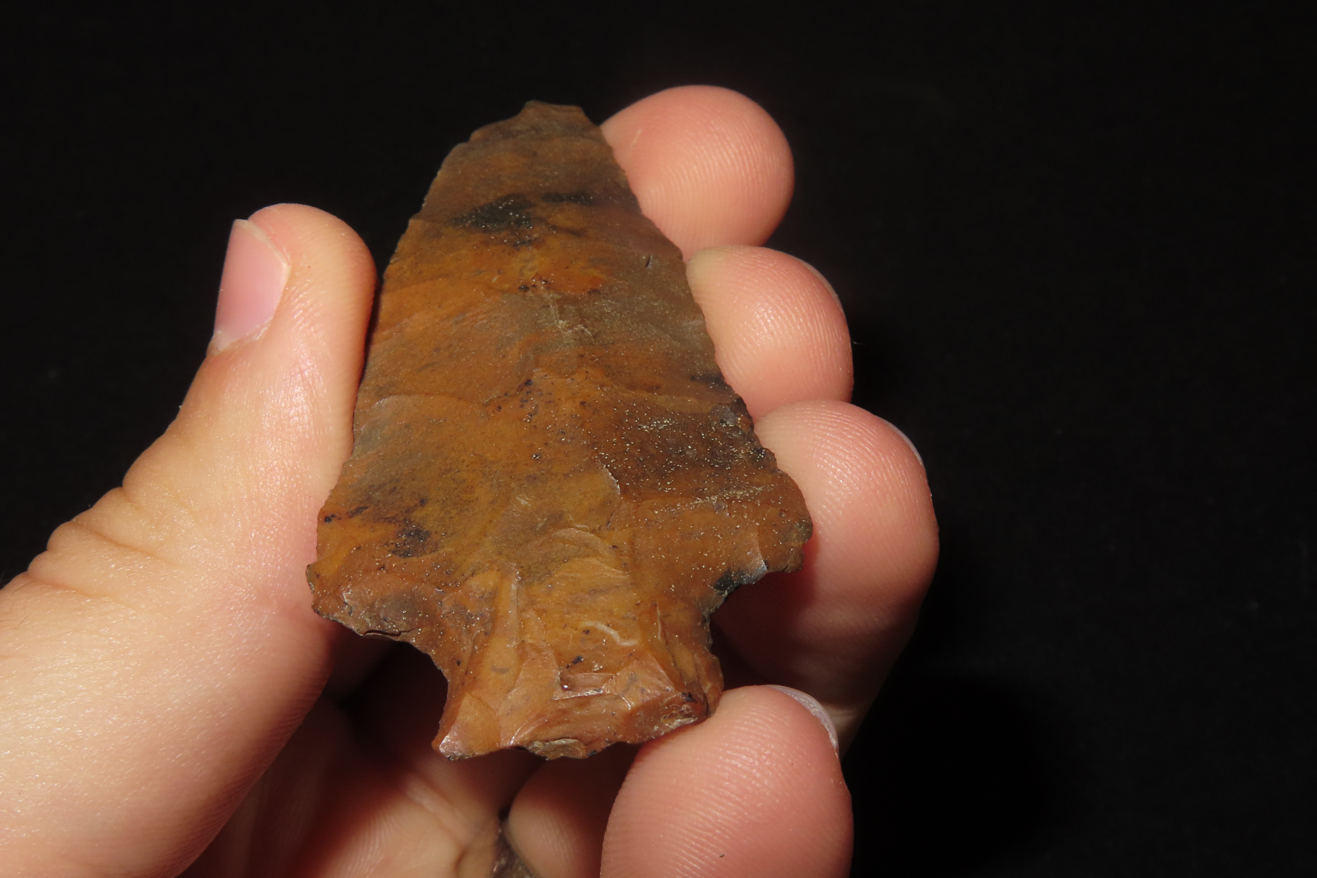 Colorful 2 5/8" River Stained Florida Candy Cottonbridge found in Pinellas County, FL. Ex Brian Boles Collection. Deep South Arrowhead.