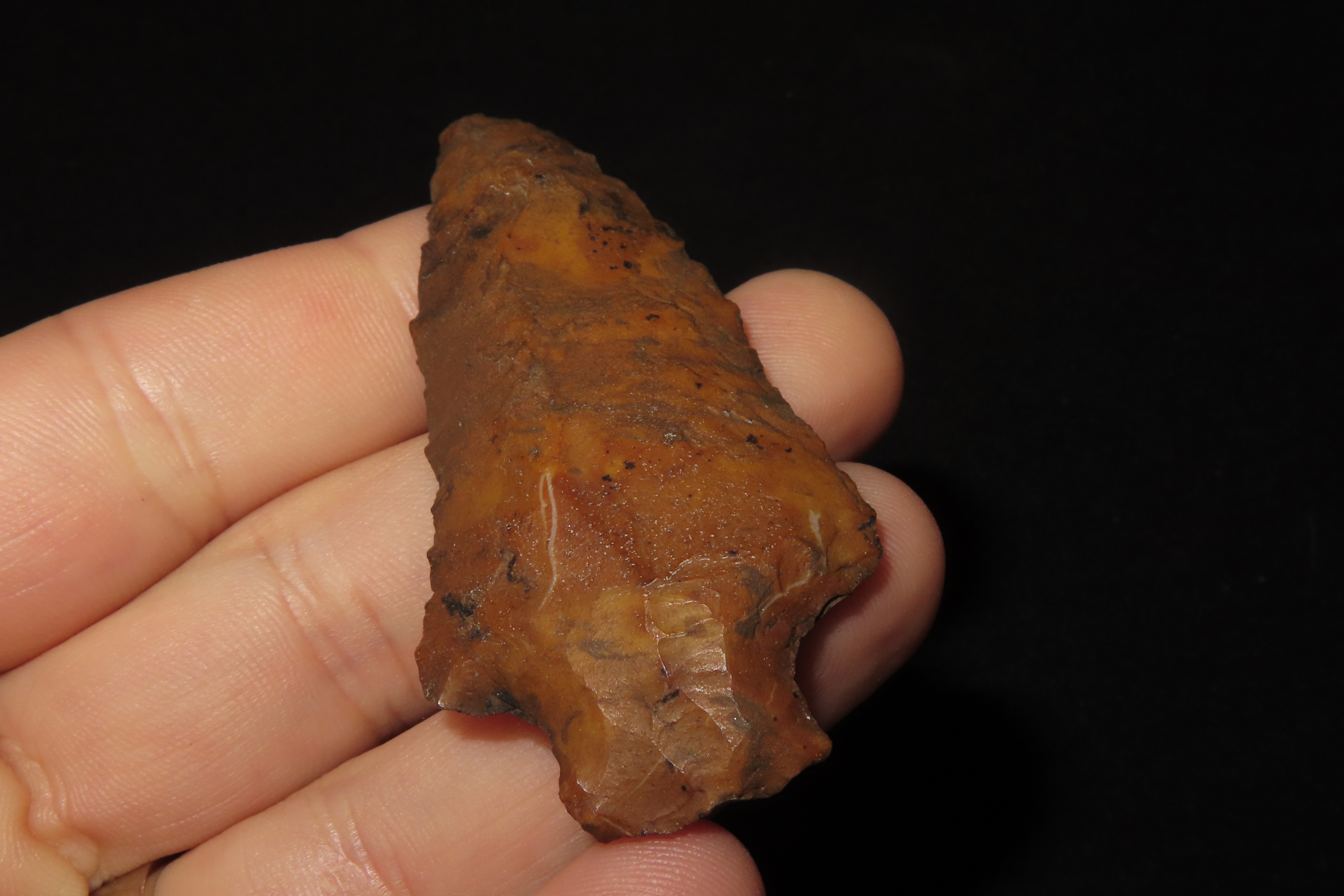 Colorful 2 5/8" River Stained Florida Candy Cottonbridge found in Pinellas County, FL. Ex Brian Boles Collection. Deep South Arrowhead.